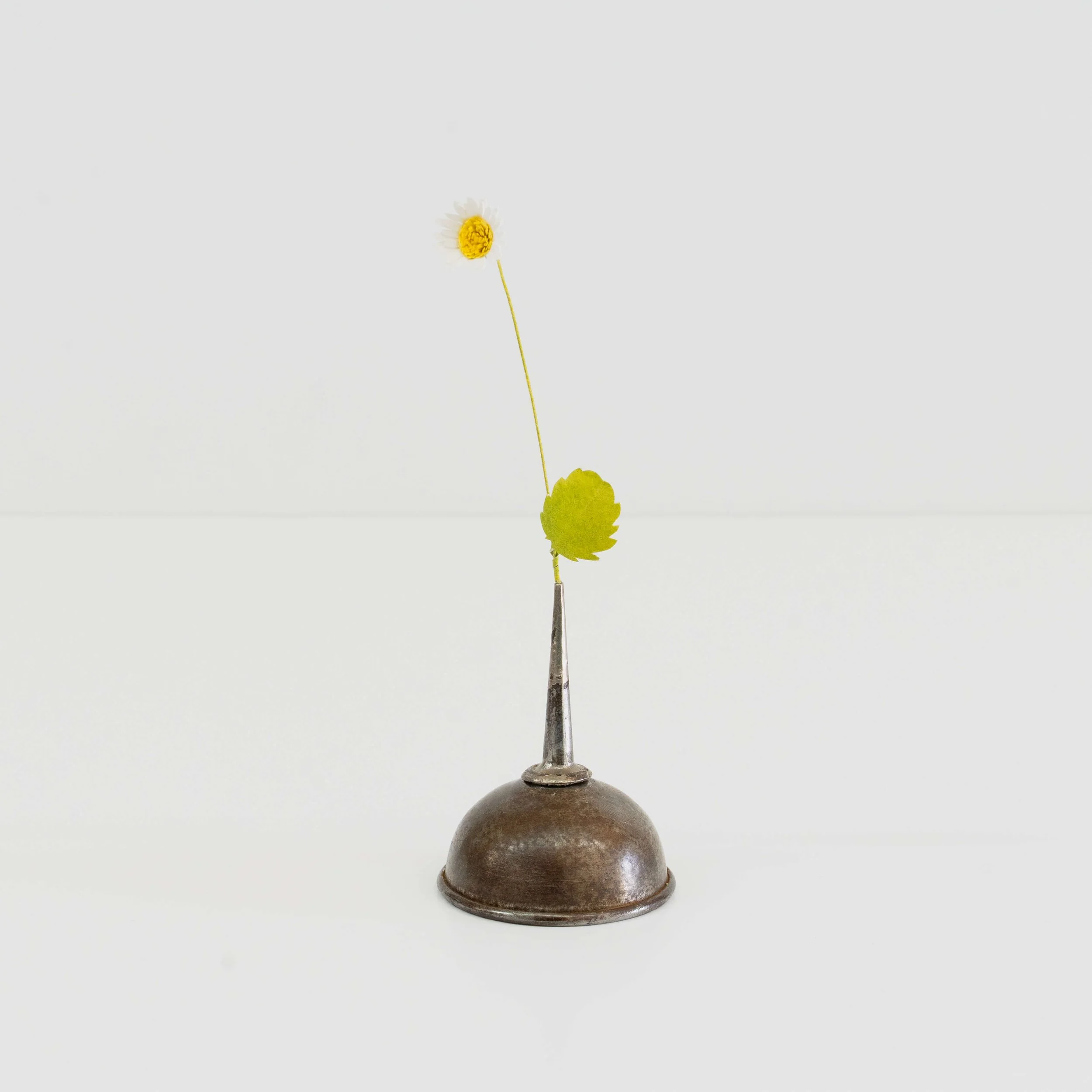 Daisy /Singer by Catherine Hammerton