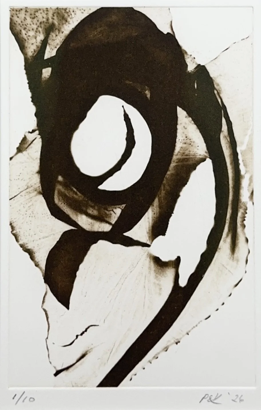 Relic: Dabberlocks 3. Portia Knight. Seaweed Art. Cameraless polymer photogravure
