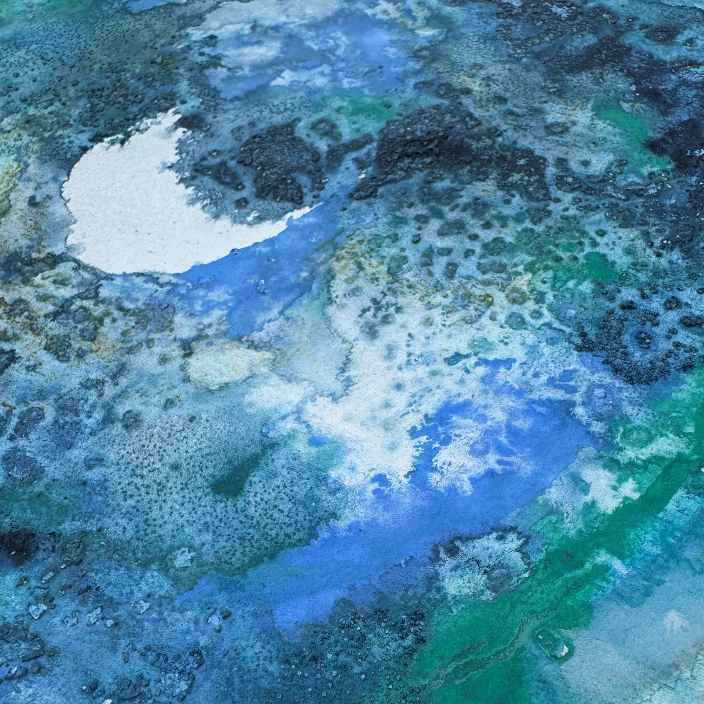 Jacqueline Ford 2617 SEA Blue V 03.jpg