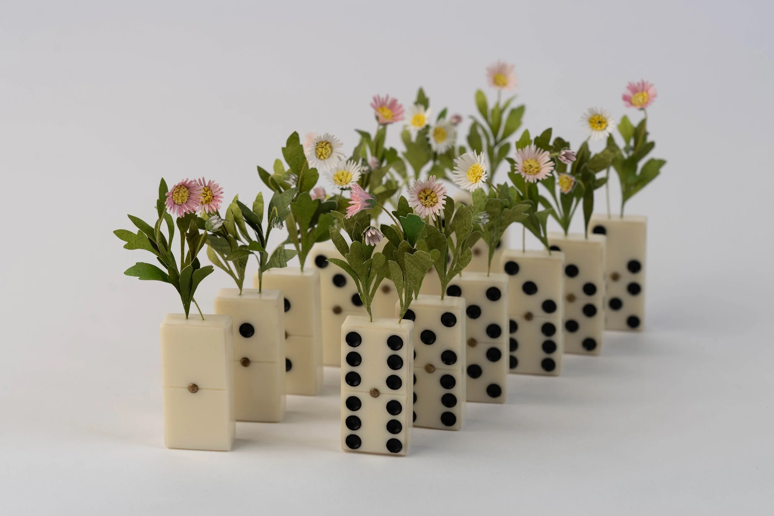Erigeron Daisy Dominoes by Catherine Hammerton. Numbers 0 - 6