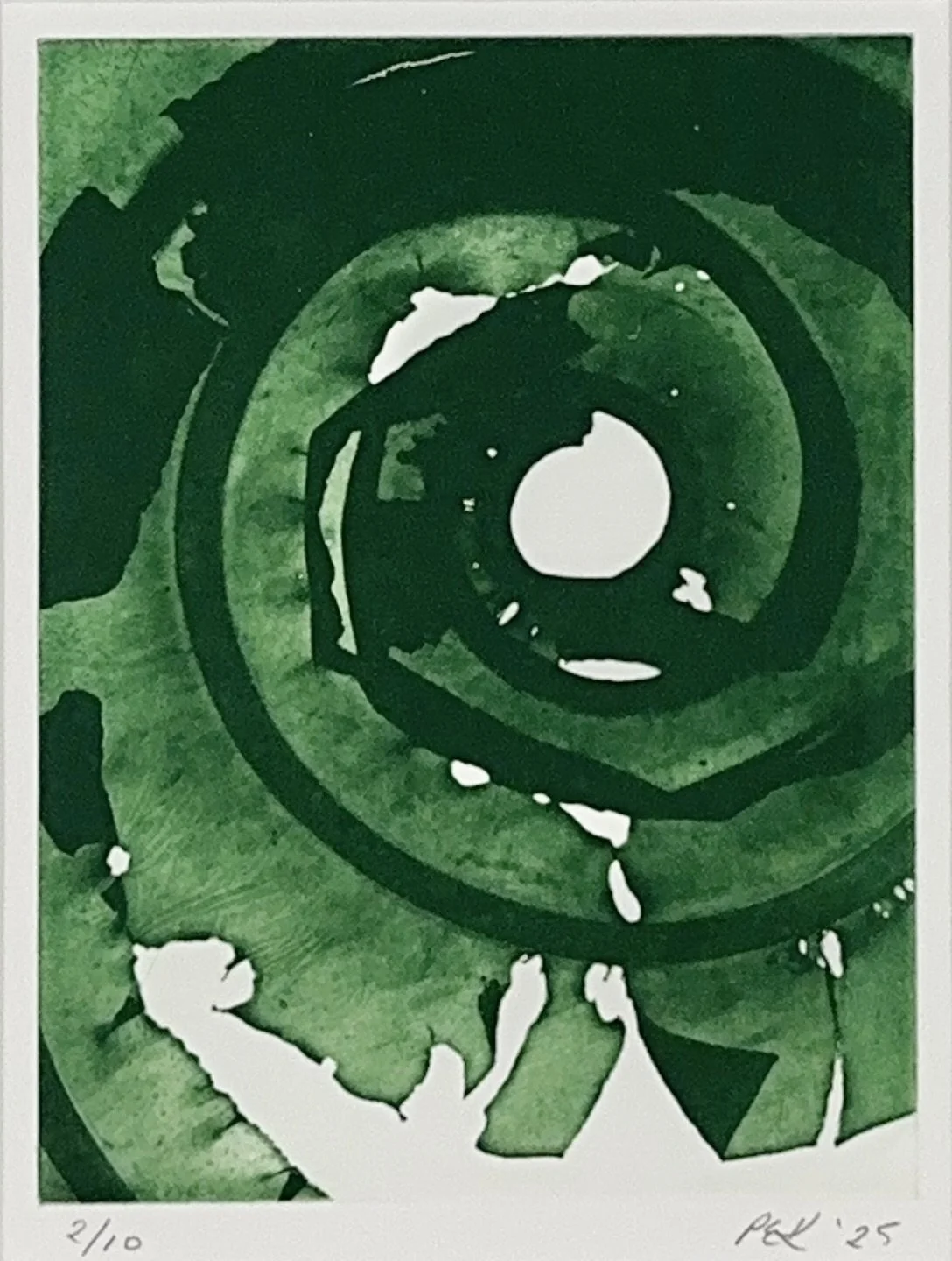 Dabberlocks 2. Portia Knight - print of seaweed - photogravure