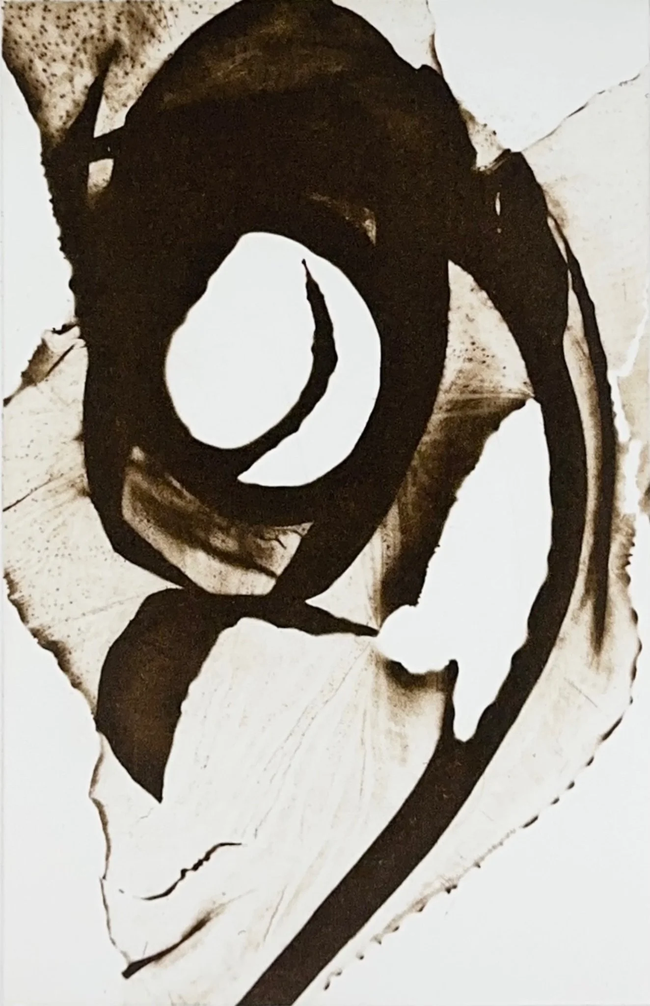 Relic: Dabberlocks 3 By Portia Knight - Framed Edition