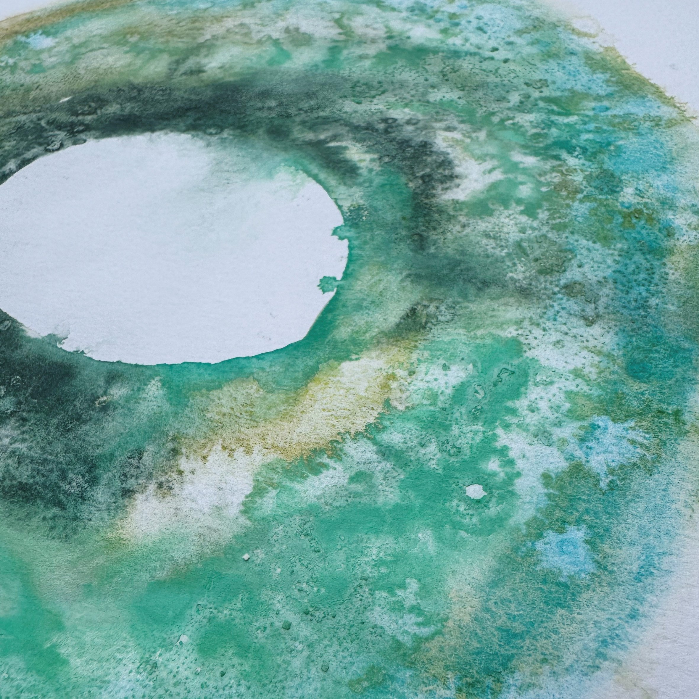 Jacqueline Ford 2612 SEA Green V 02.jpg