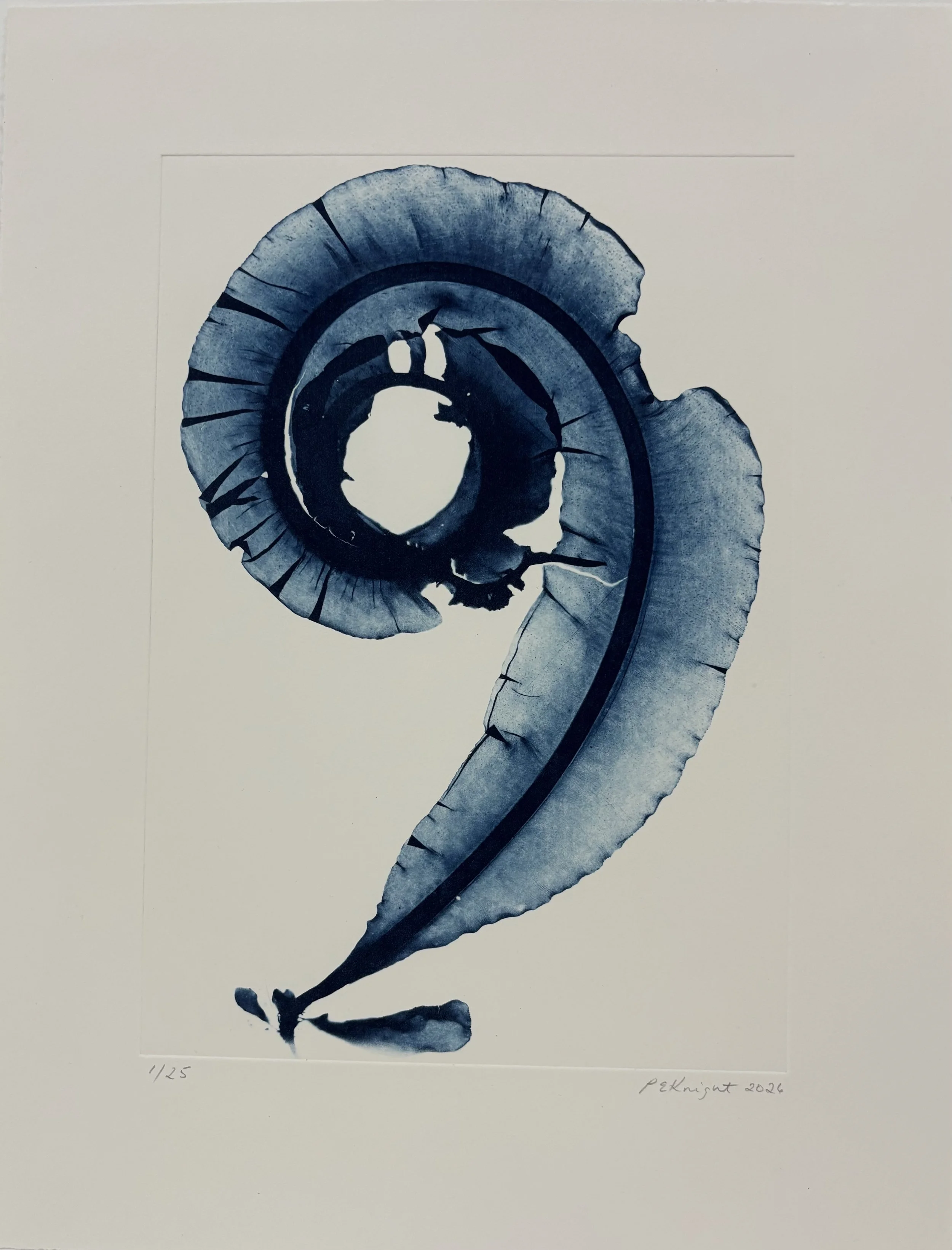 Impressions: Dabberlocks 1 By Portia Knight - Framed Edition