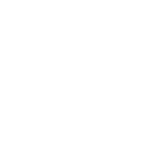 Icon - Conversation Class