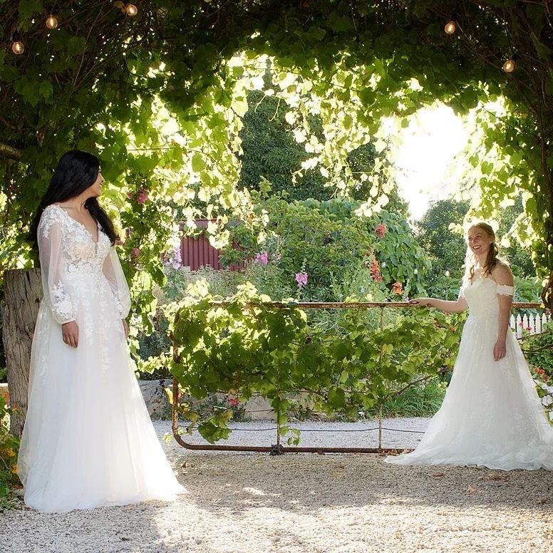 You're so golden. 

WILLA and MARLOW at the @aldingasecretgarden

Photography: @adelaideportraitstudios