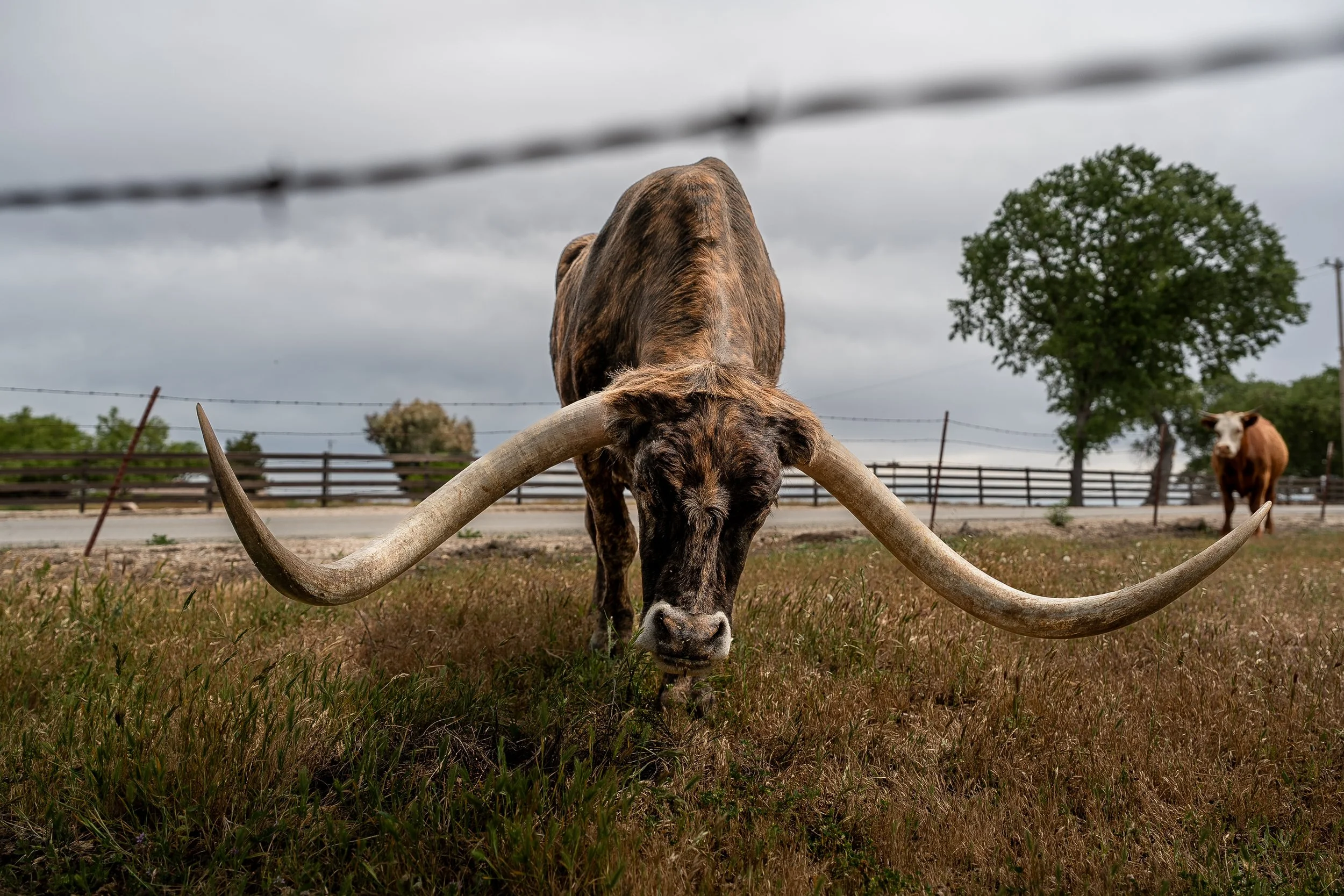 ZPD Content (7 of 144).jpg