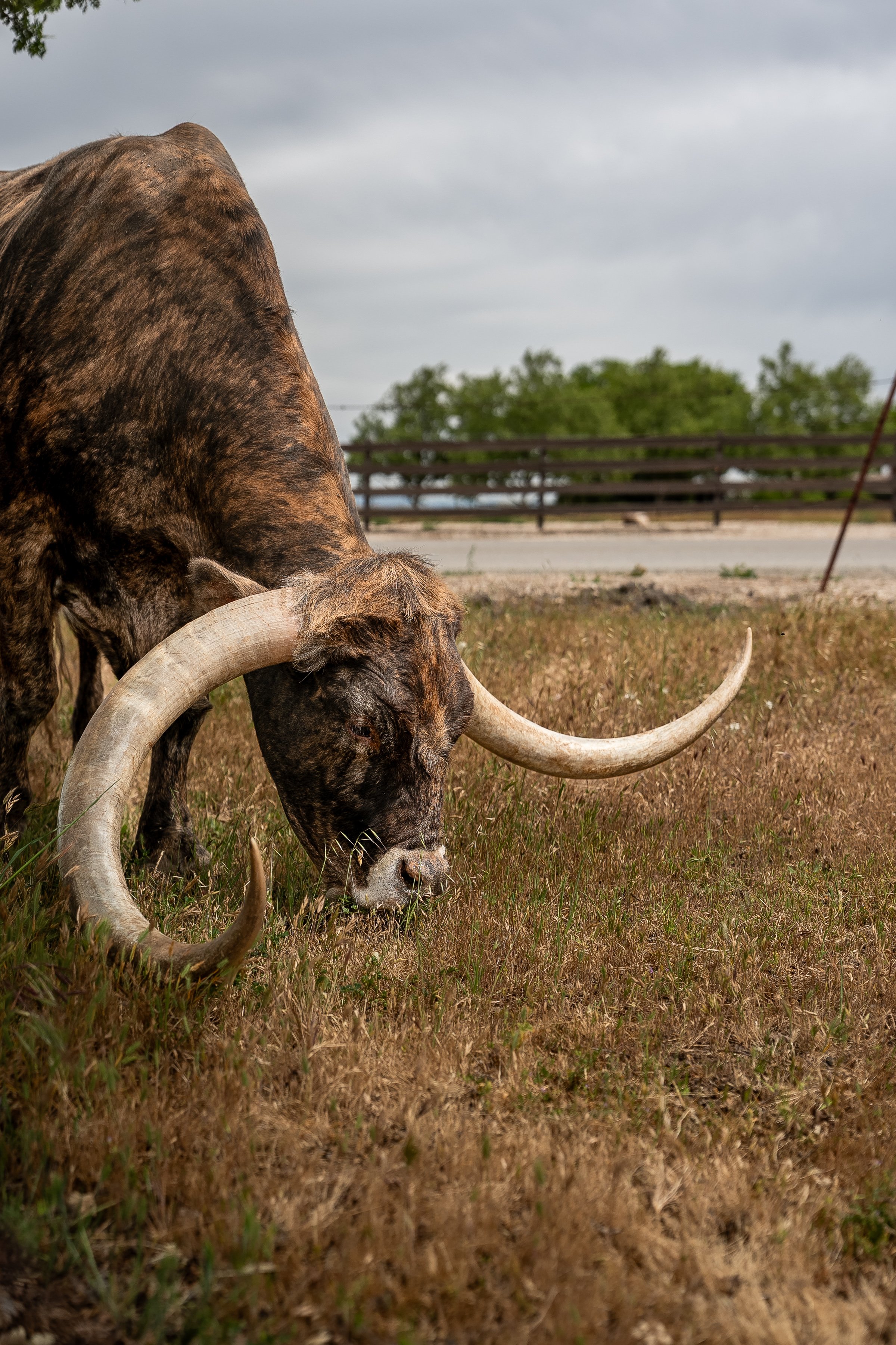 ZPD Content (9 of 144).jpg