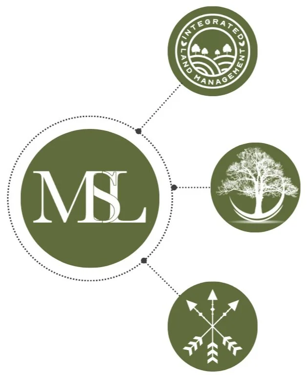 The Wider Team — Mintridge Strategic Land