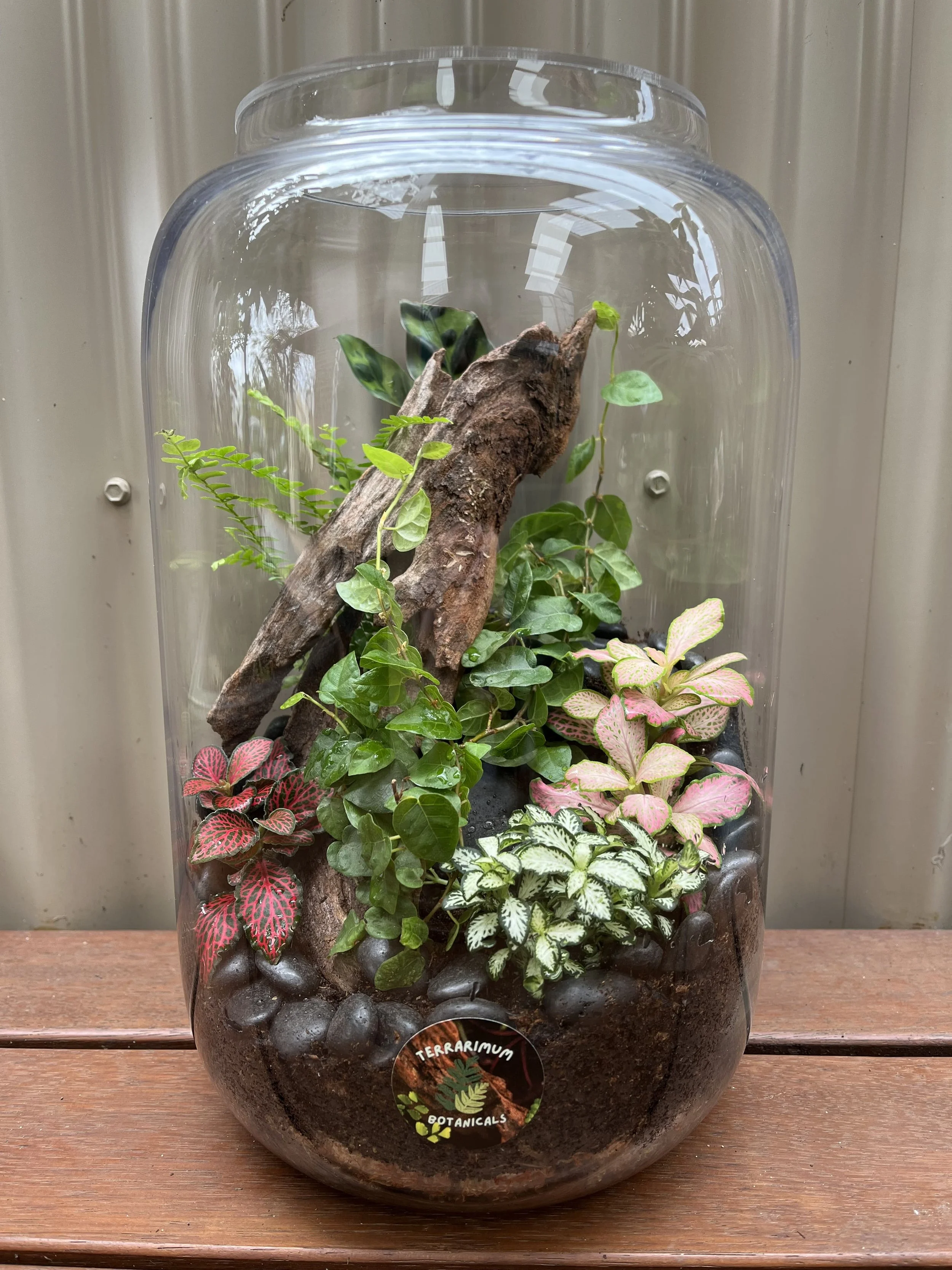 closed terrarium - large
