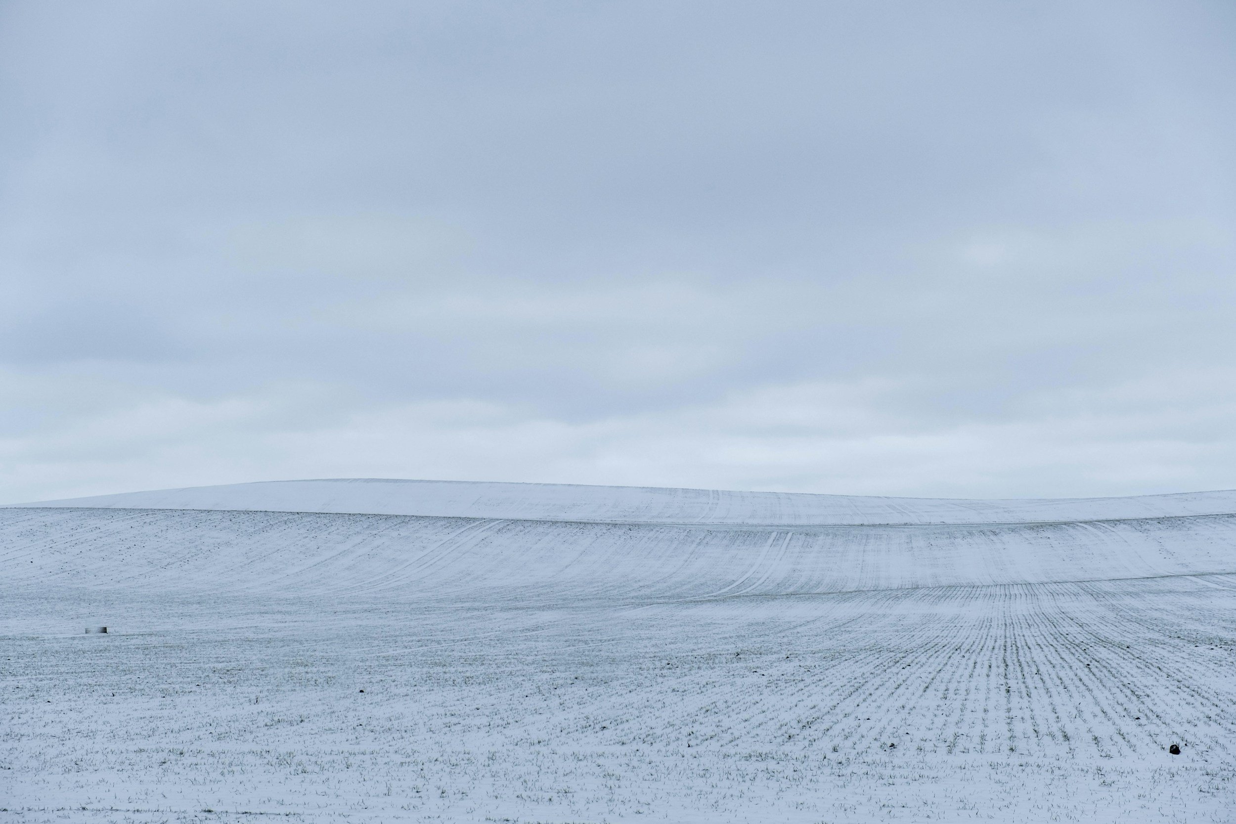 January 20 &amp; 21, 2026