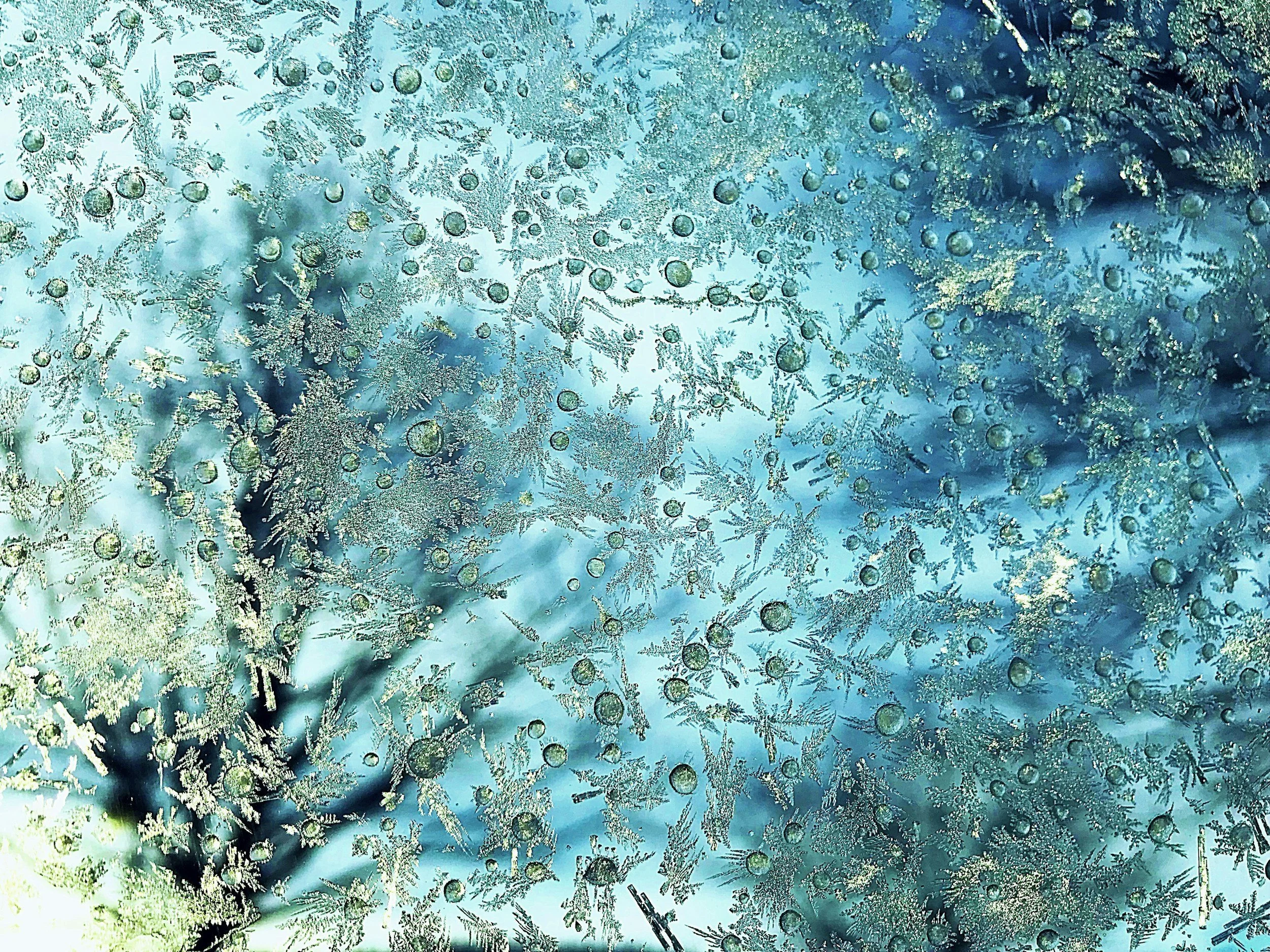 January 9 &amp; 12, 2025