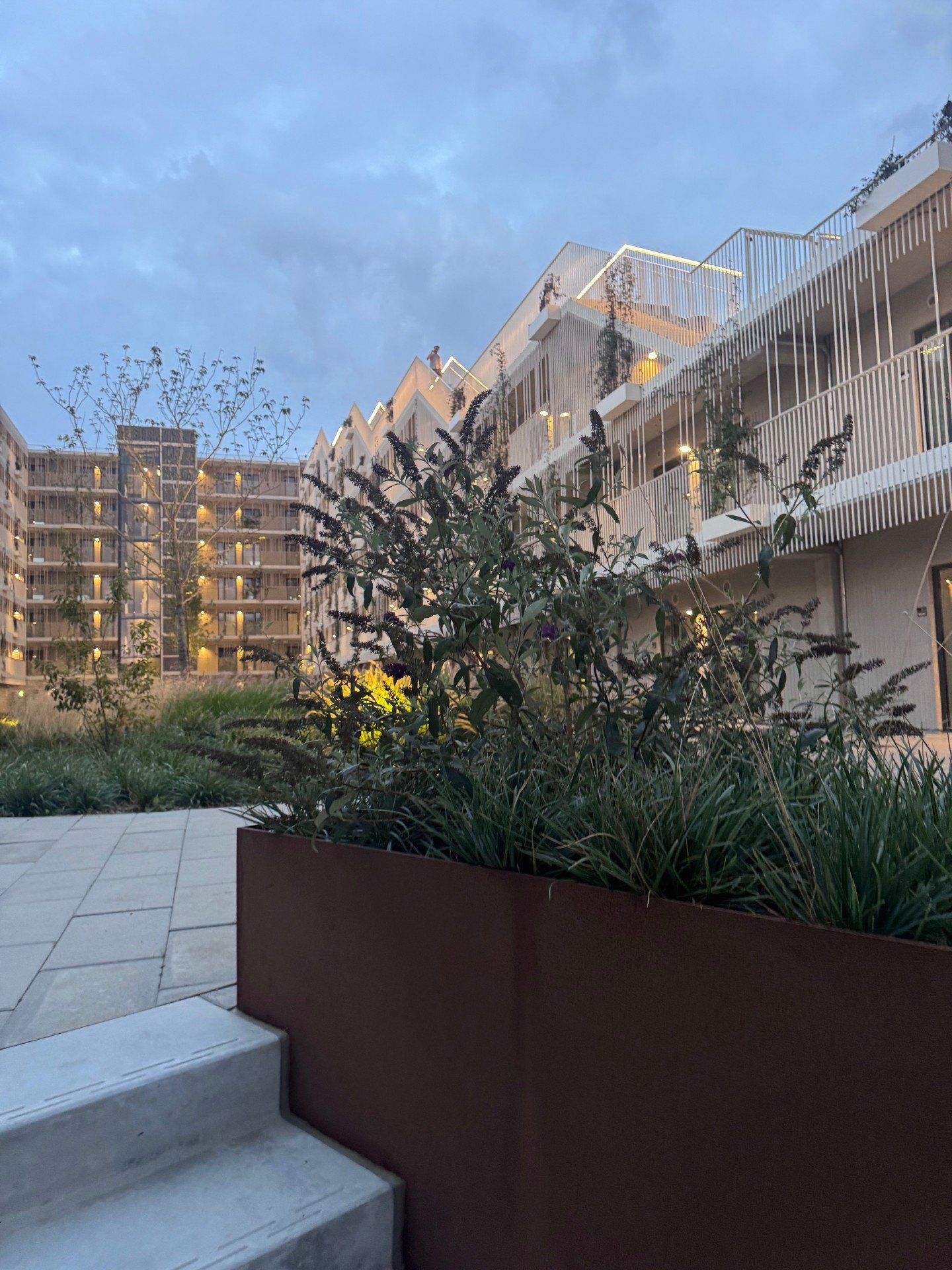 Moderne boligbyggeri med udendørs område og planter, blåt himmel, tidligt om morgenen eller aften