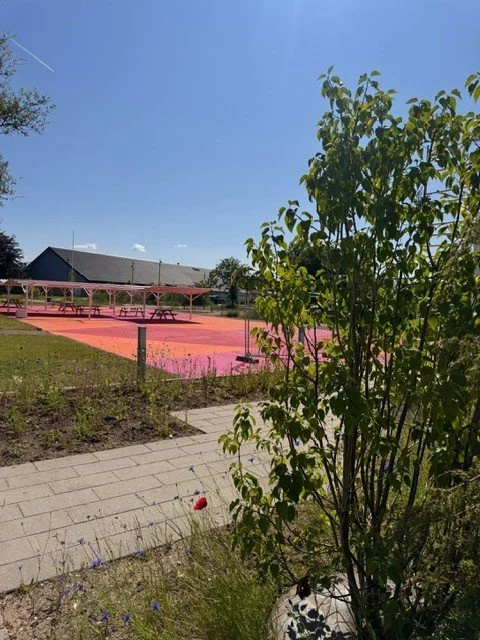 Udsigt over en udendørs sportsbane med rød underlag, omgivet af grønne planter og en bygning i baggrunden under en blå himmel.