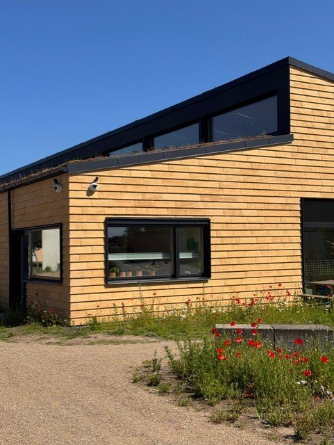 Moderne træbygning med store vinduer og blå himmel