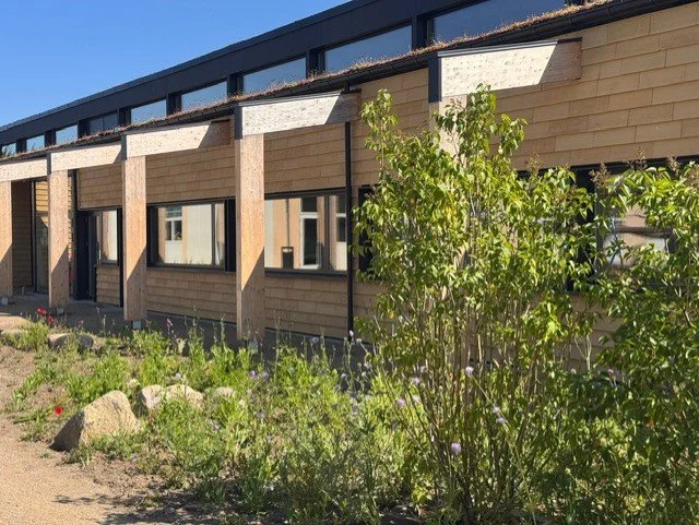 Ejendomsside med træbeklædning, vinduer og have med planter og sten.