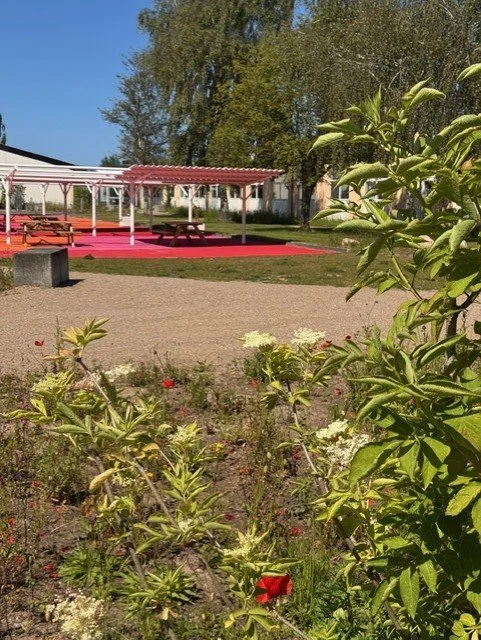 Et par rekreative områder med borde og skyggeoverdækning, omgivet af grønne planter og blomster, under en klar blå himmel.