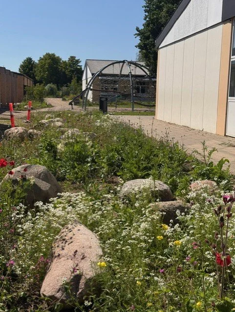 Udendørs område med blomster, store sten og en konstruktion i baggrunden.