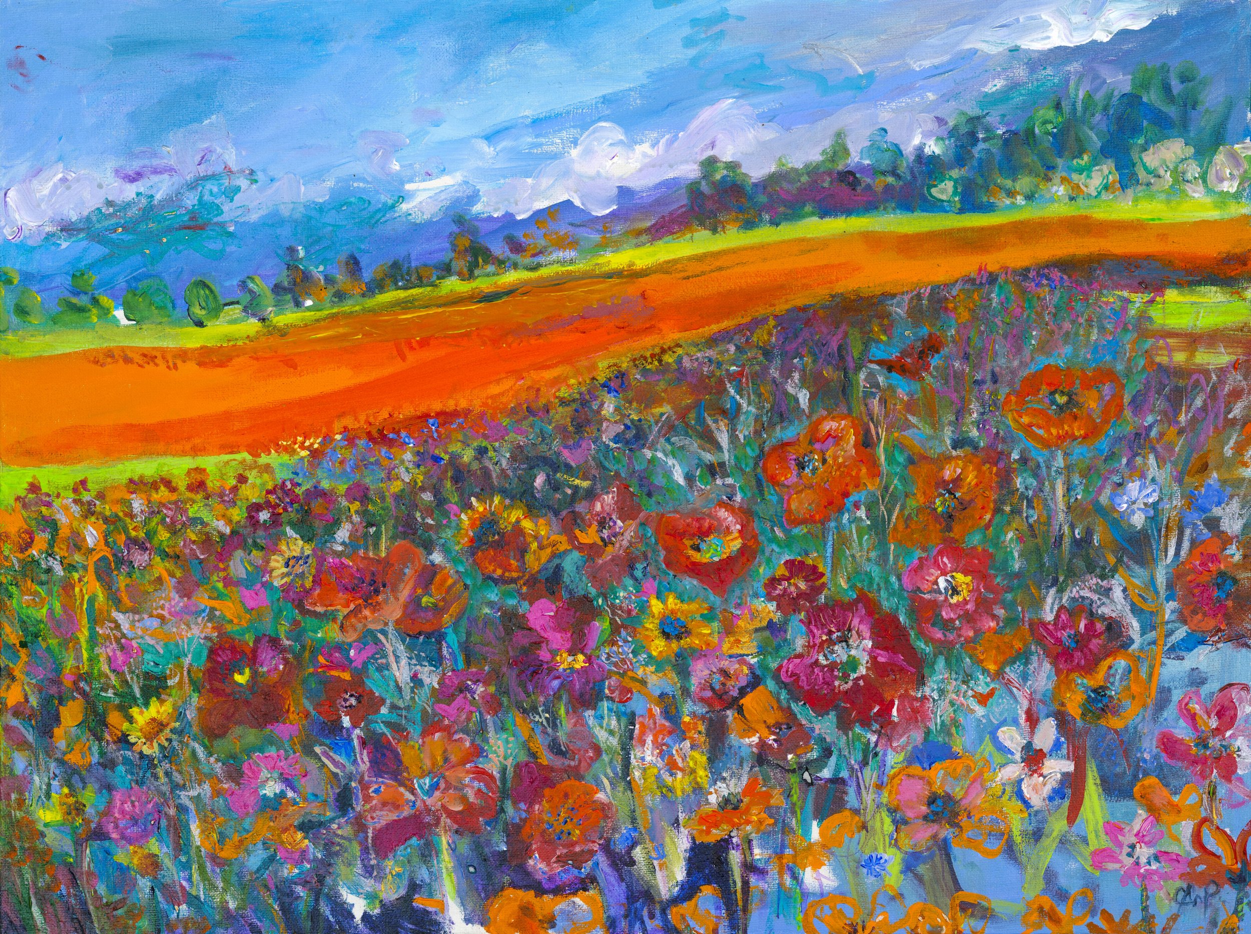 Charlotte Willoughby - Summer Fields