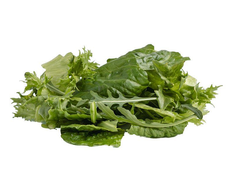2210 Jääsalaatti-romaine-rucola.jpg