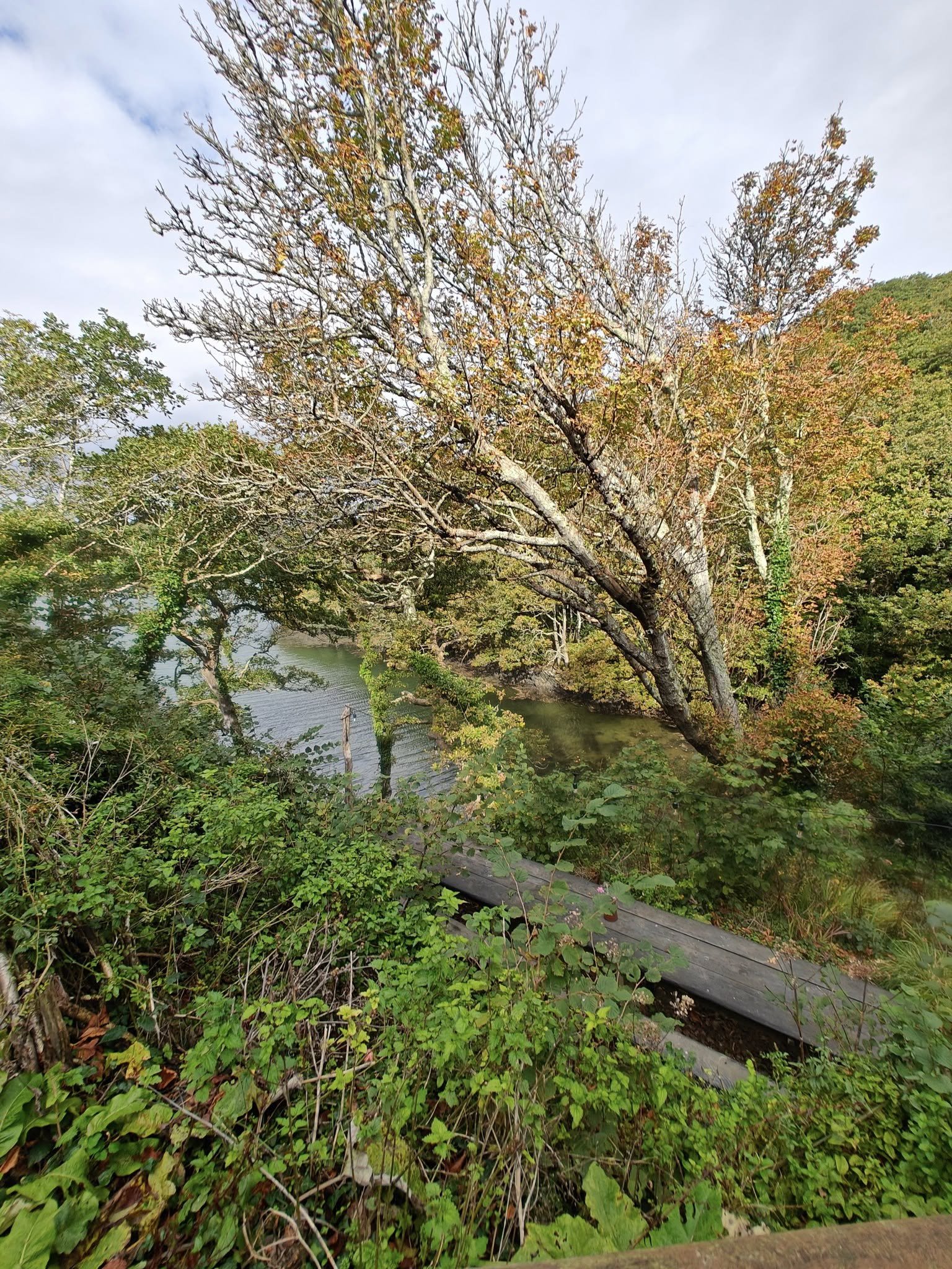 potluck Cornwall and 7th rise.jpg