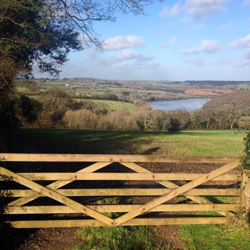 07.03.26 - Foraging, wild cooking and 3 course lunch at 7th Rise at 10:30 AM