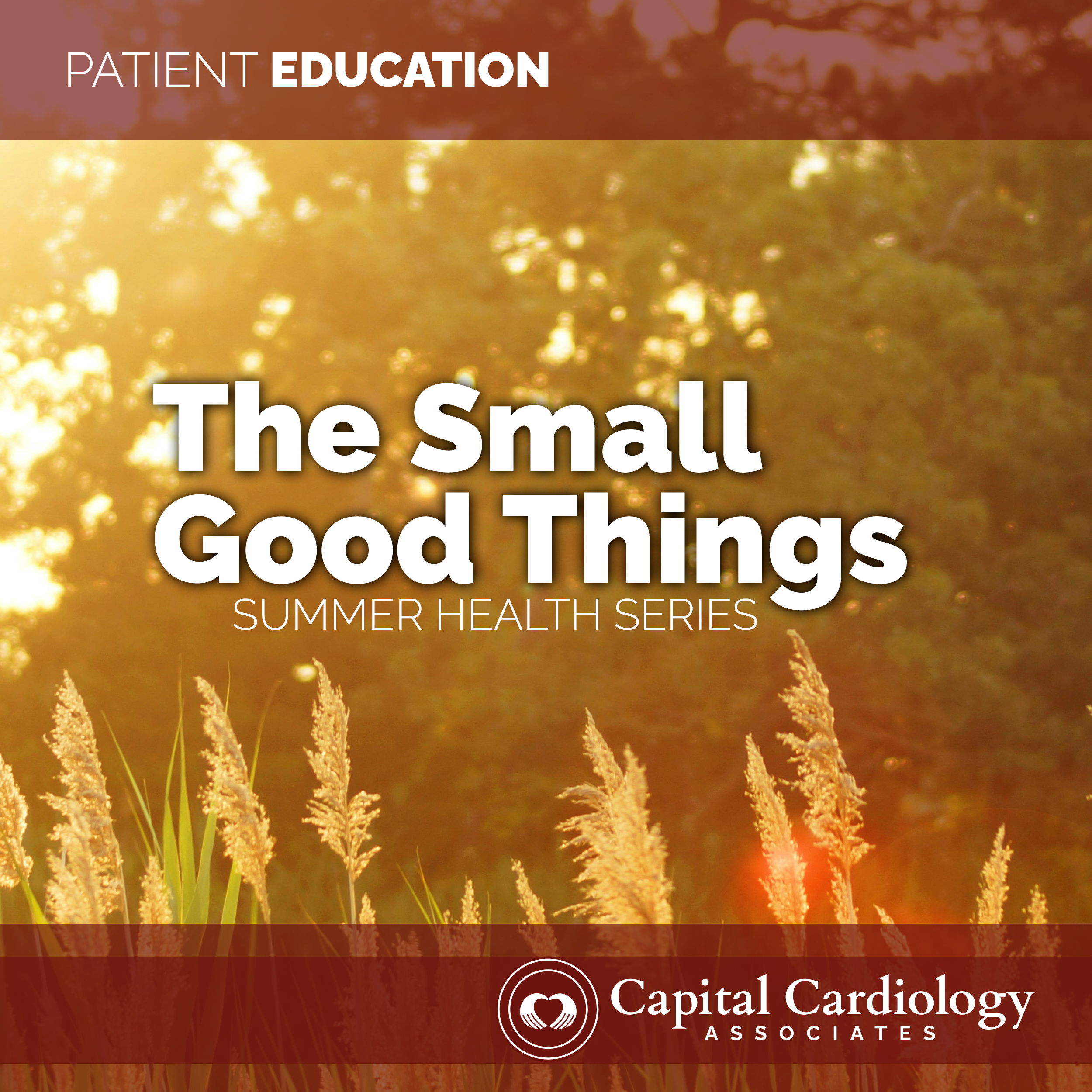 The Small Good Things