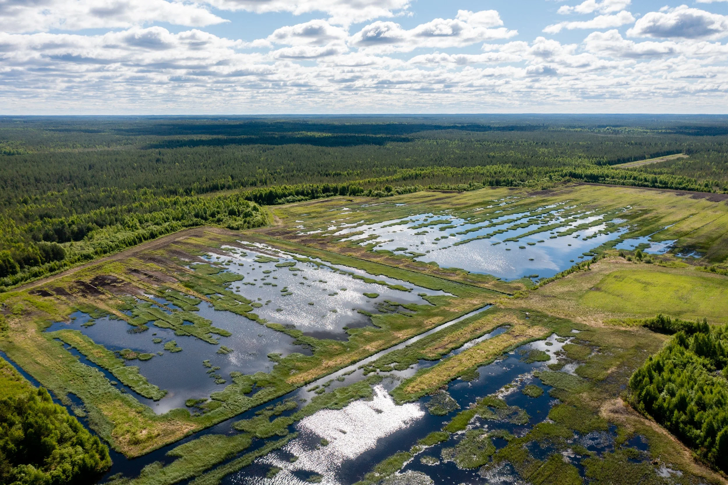 valokuvaaja oulu, lehtikuvaus, valokuvaus oulu hinta, lehtikuvaaja oulu (21).jpg