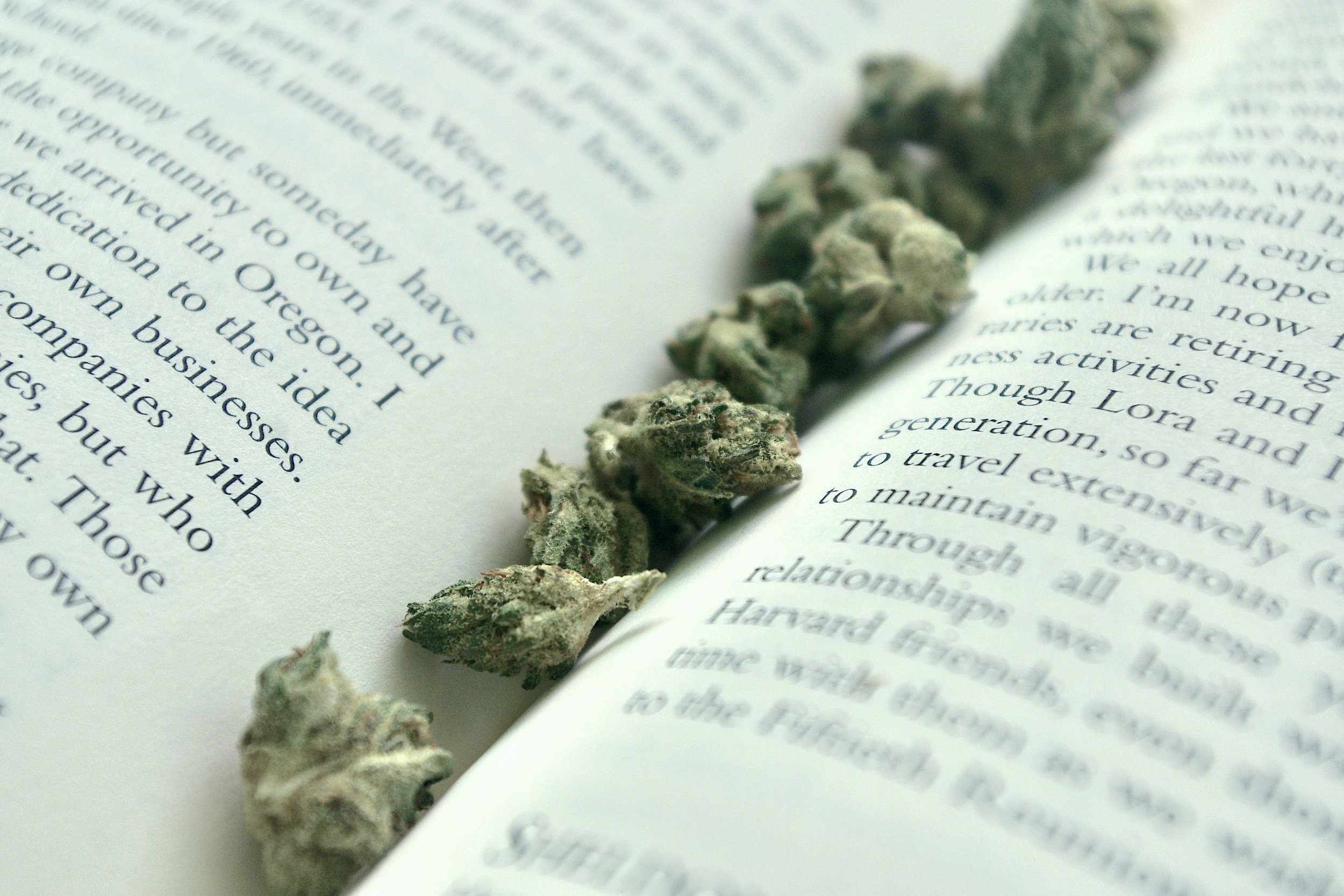 oHHo Cannabinoids