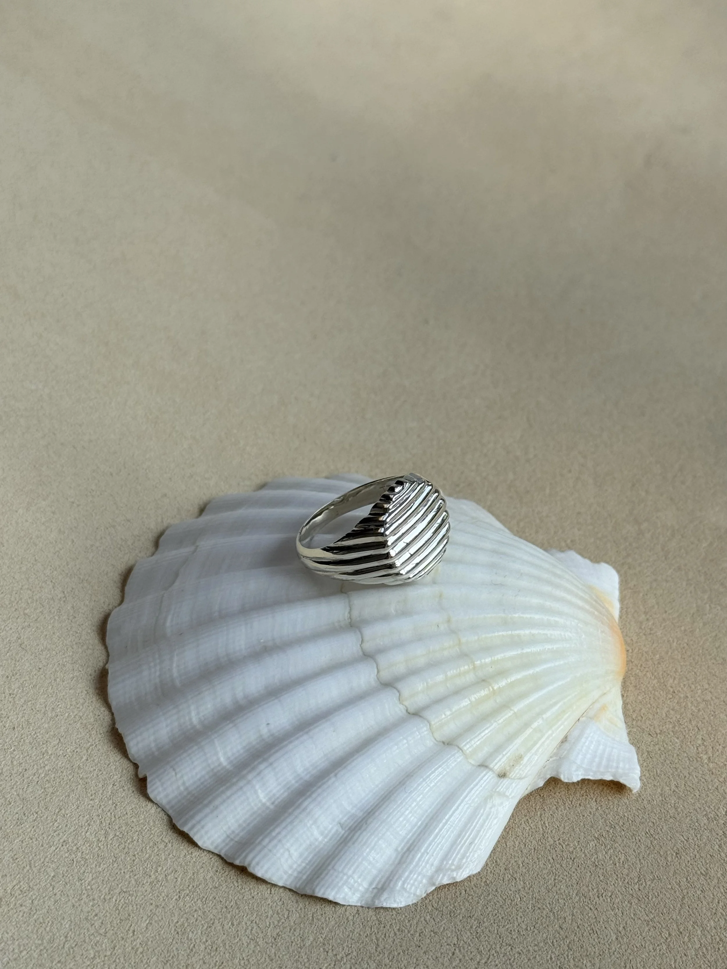 IMG_5084.jpeg