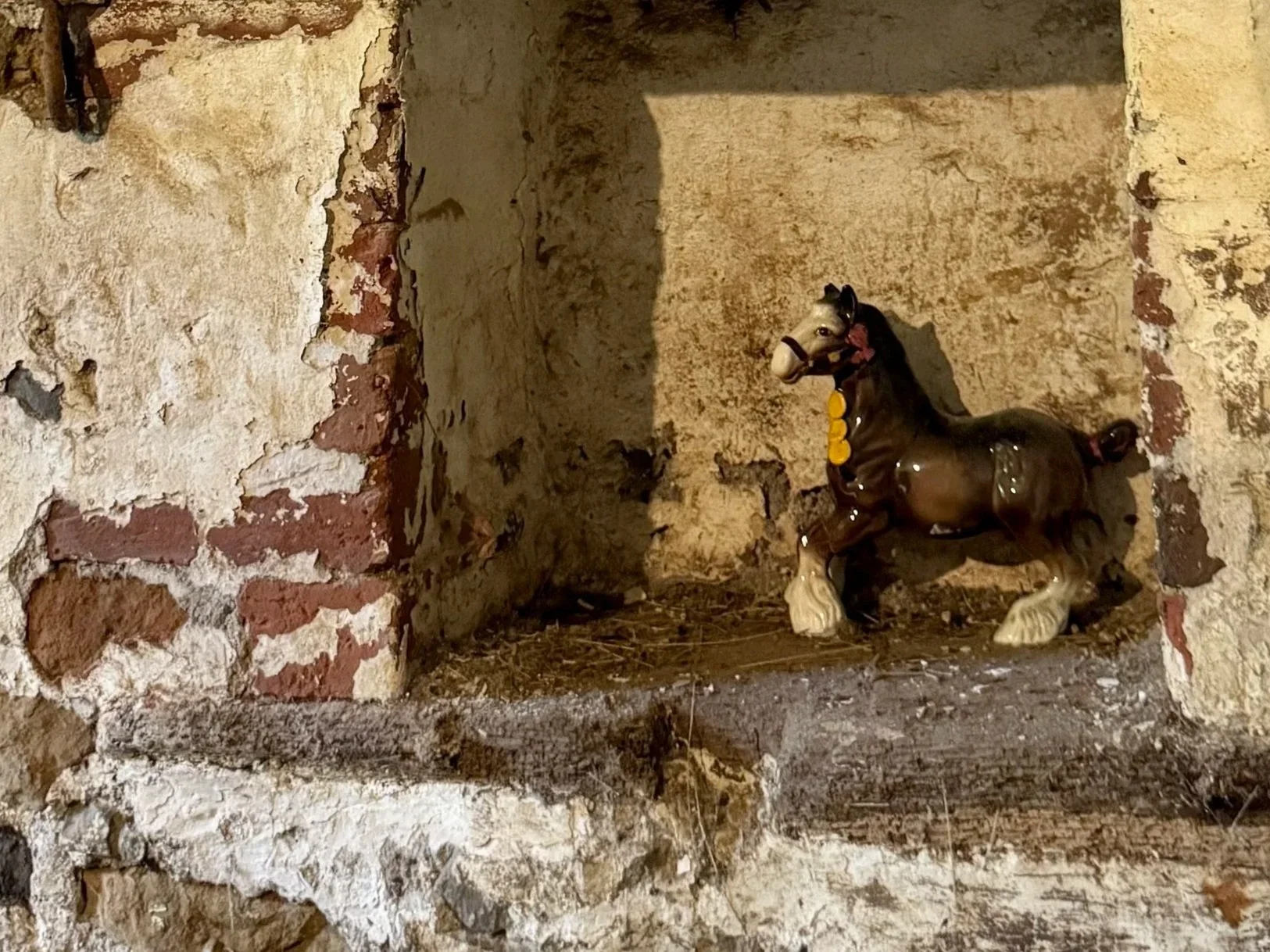 Exhibition: boxwalking