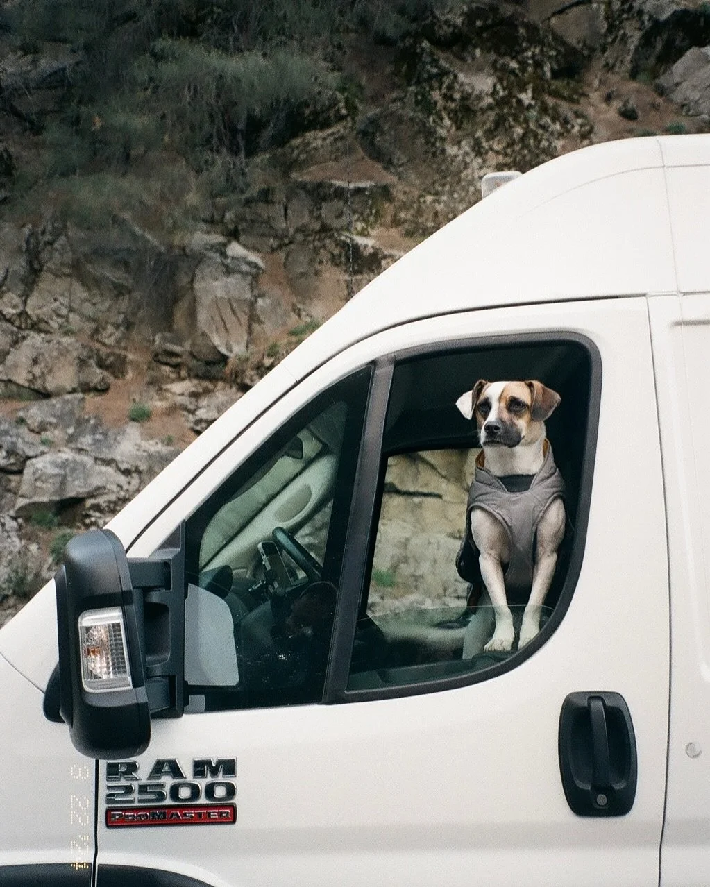 spring in yosemite on film 🎞️🏞️

these photos mean so much to me because they're from right after we bought the van a year ago. we were sleeping on top of moving blankets and camping pads, filling up water at water fountains, and taking a second to