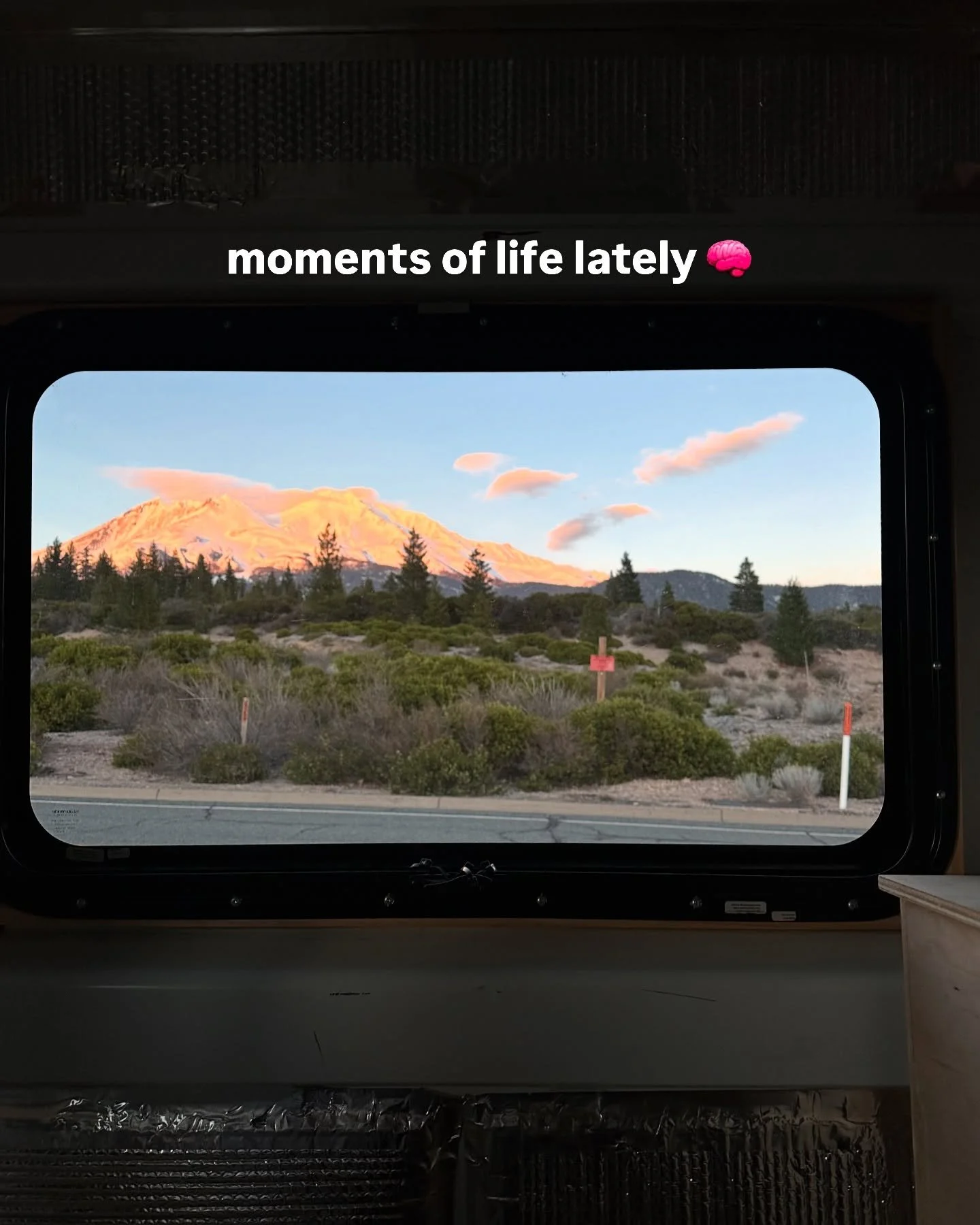 what a time 💘✨🍰🌎🐛

#diyvanconversion #fulltimevanlife #sheexplores