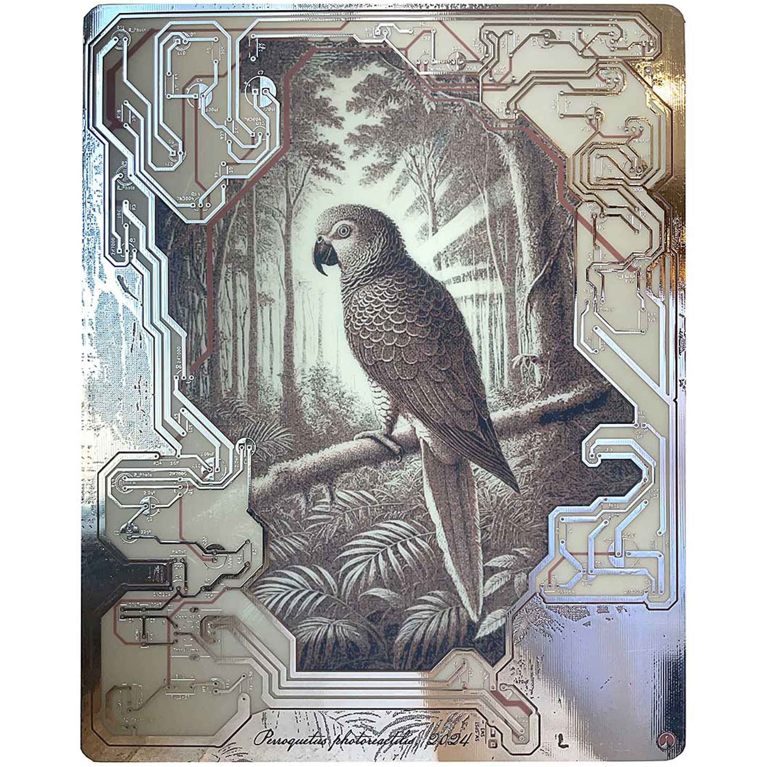 Kelly Heaton's electronic naturalism print that generates life-like bird song from coupled oscillators