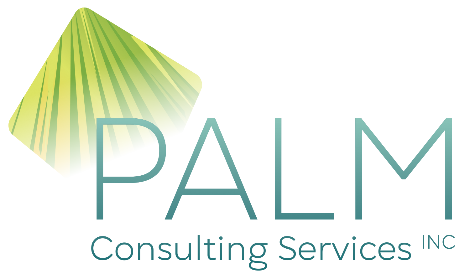 Palm Consulting Services