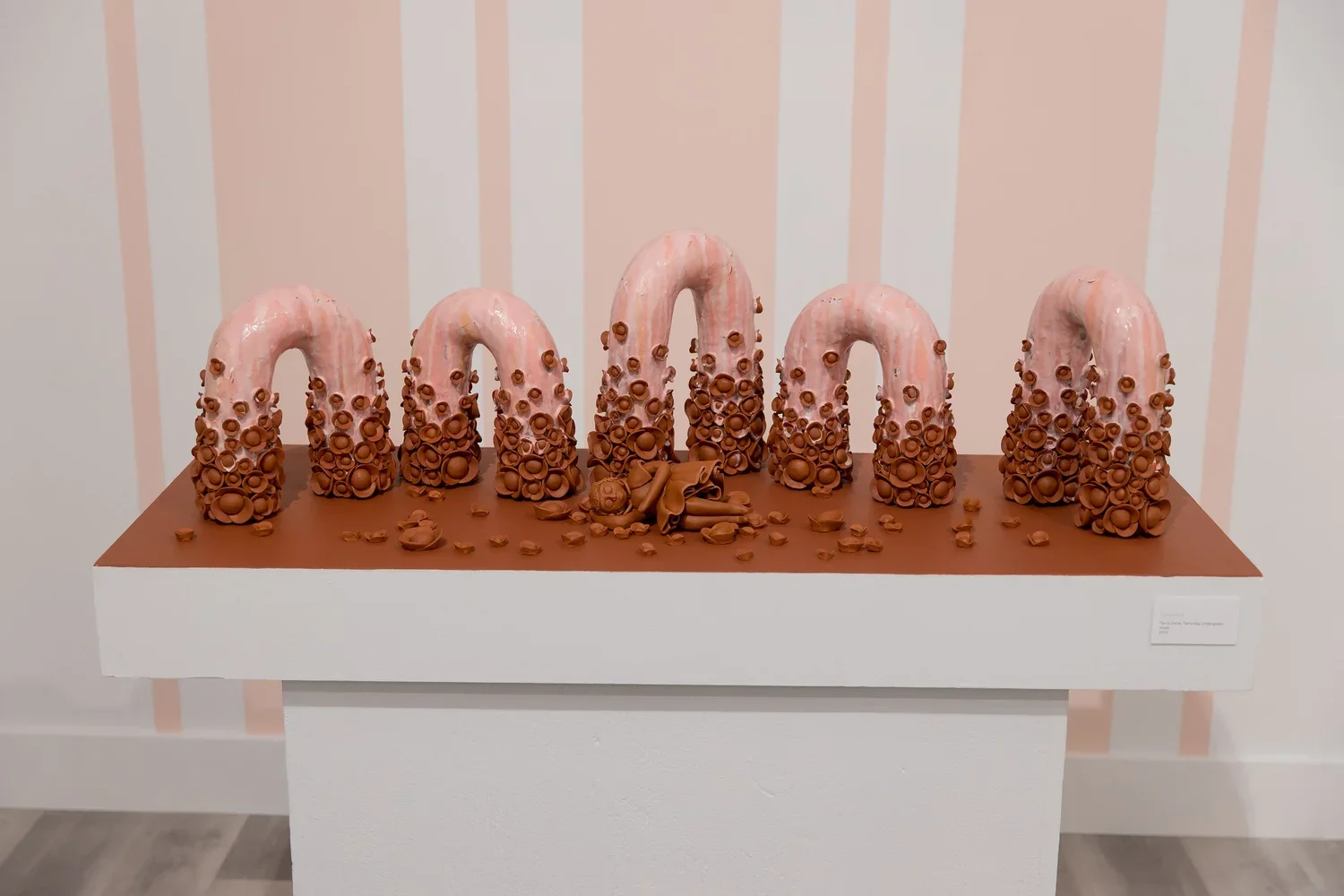 Jaden's+Exhibit_013.webp (Copy) (Copy) (Copy)