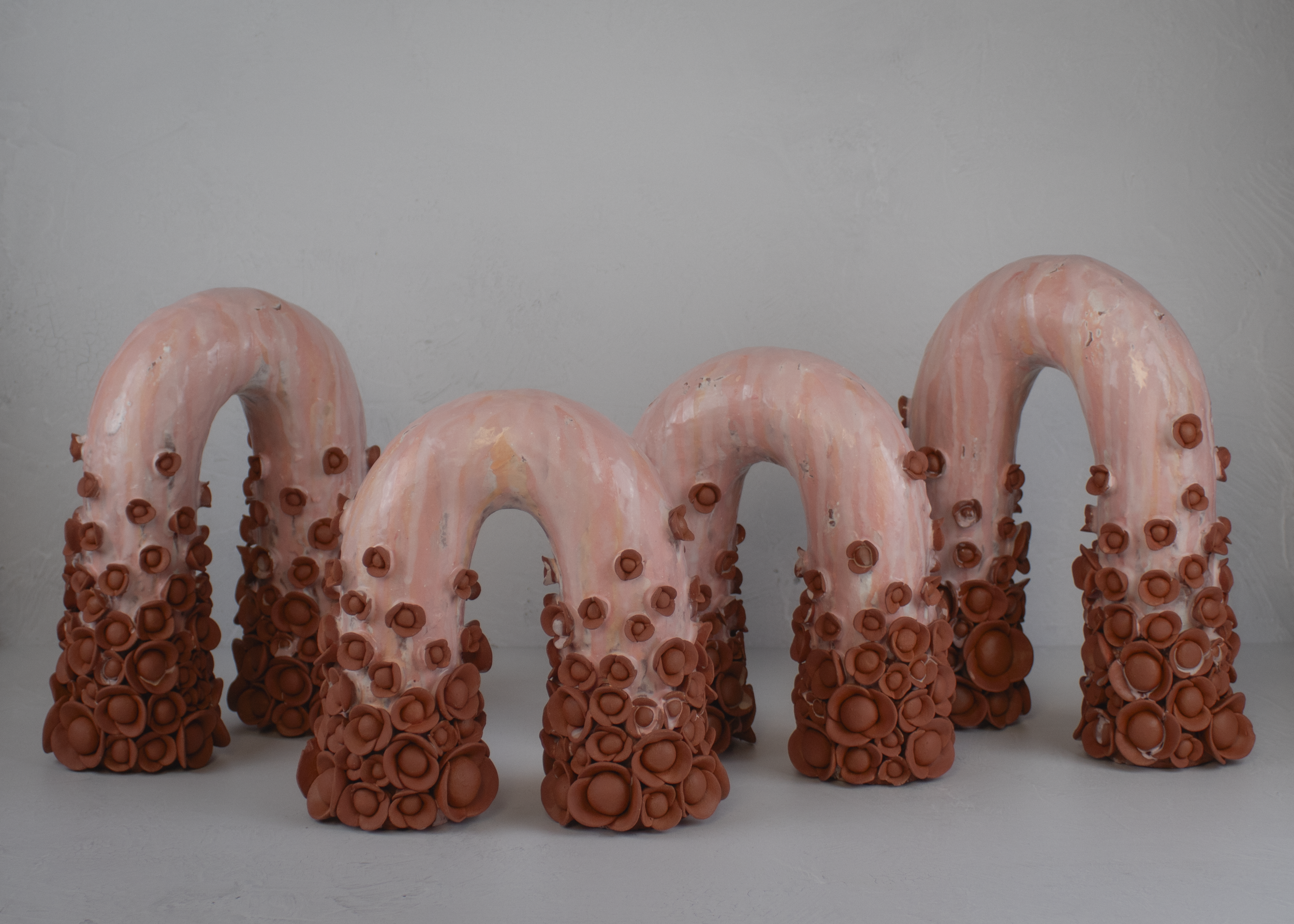 IMG_7905.png (Copy) (Copy) (Copy)