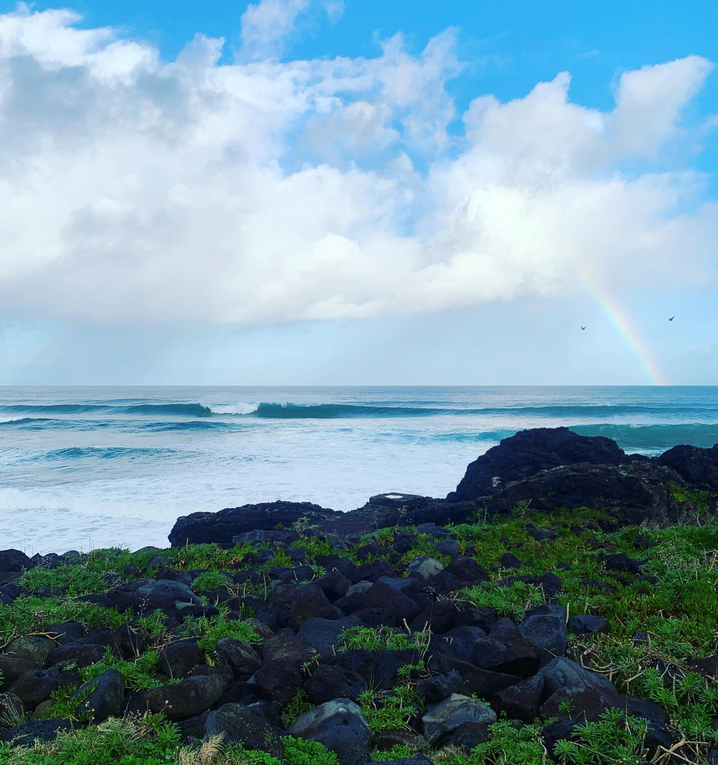 Happy New Years! Bom Ano Novo! 🌊🌈