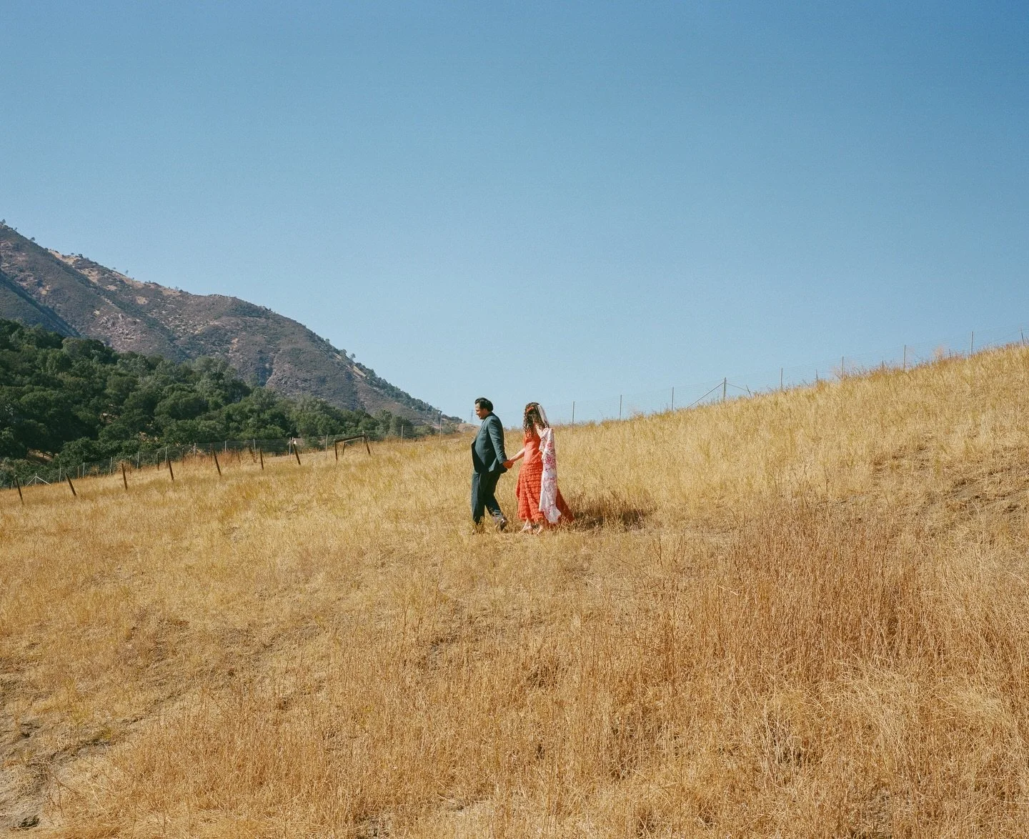 Finally sharing these photos from Emily and Hiro&rsquo;s wedding! Such a beautiful day celebrating a beautiful couple. Thank you for trusting me with your day and giving me creative freedom 💞 more to come 

#weddingphotography #filmphotography #shoo