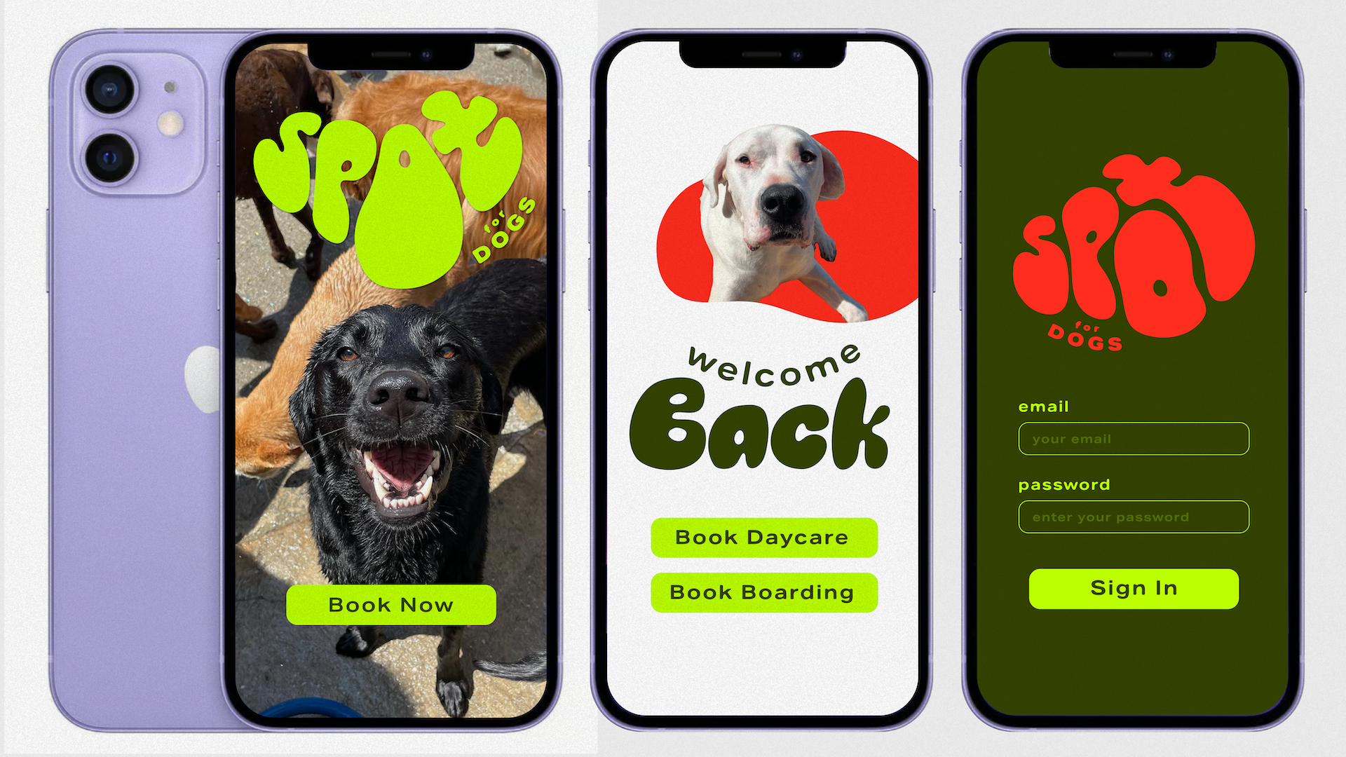 spot for dogs2-03.png