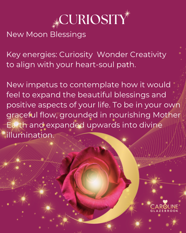 Curiosity &amp; Wonder 