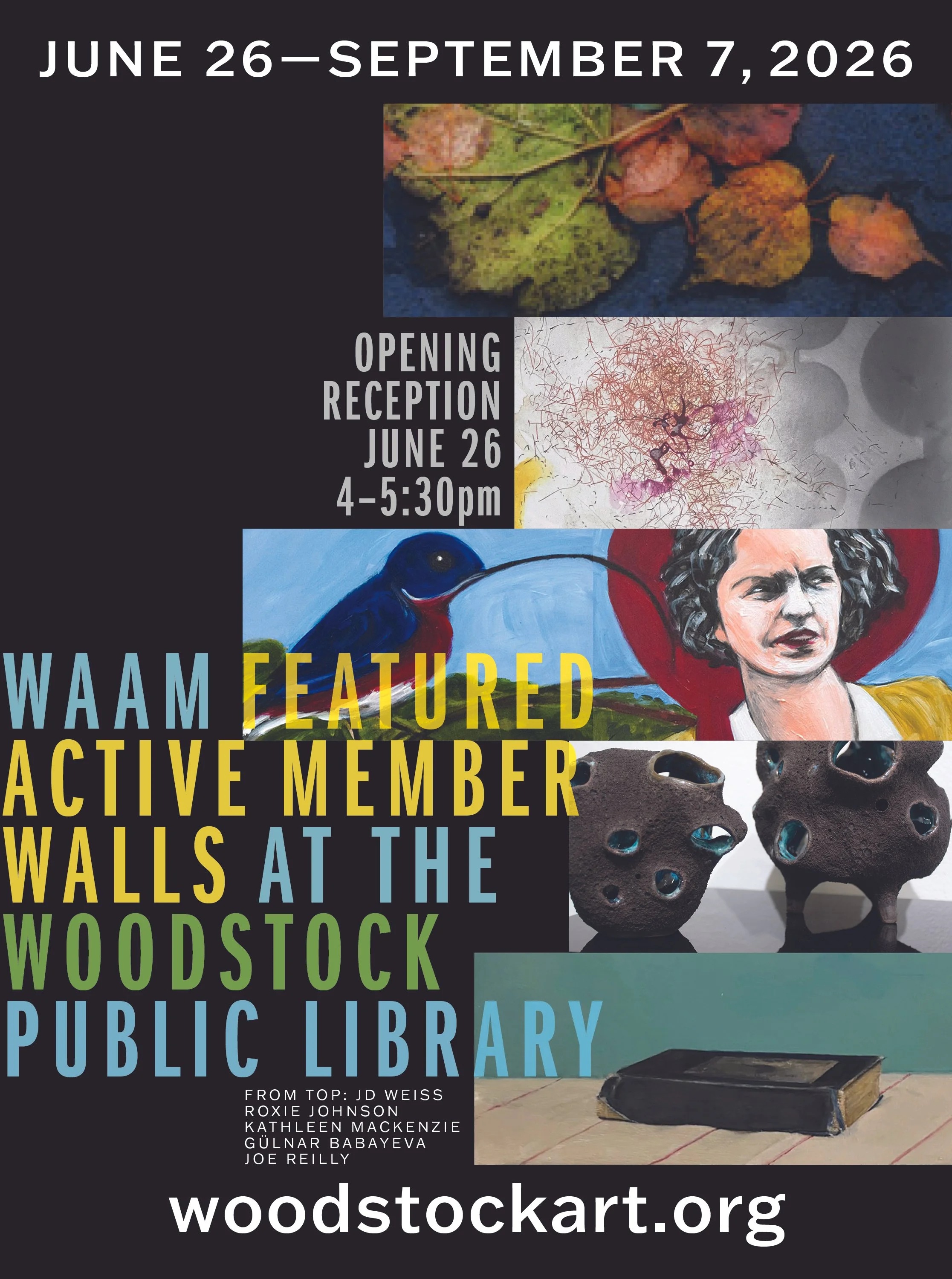 WAAM @ the Woodstock Public Library