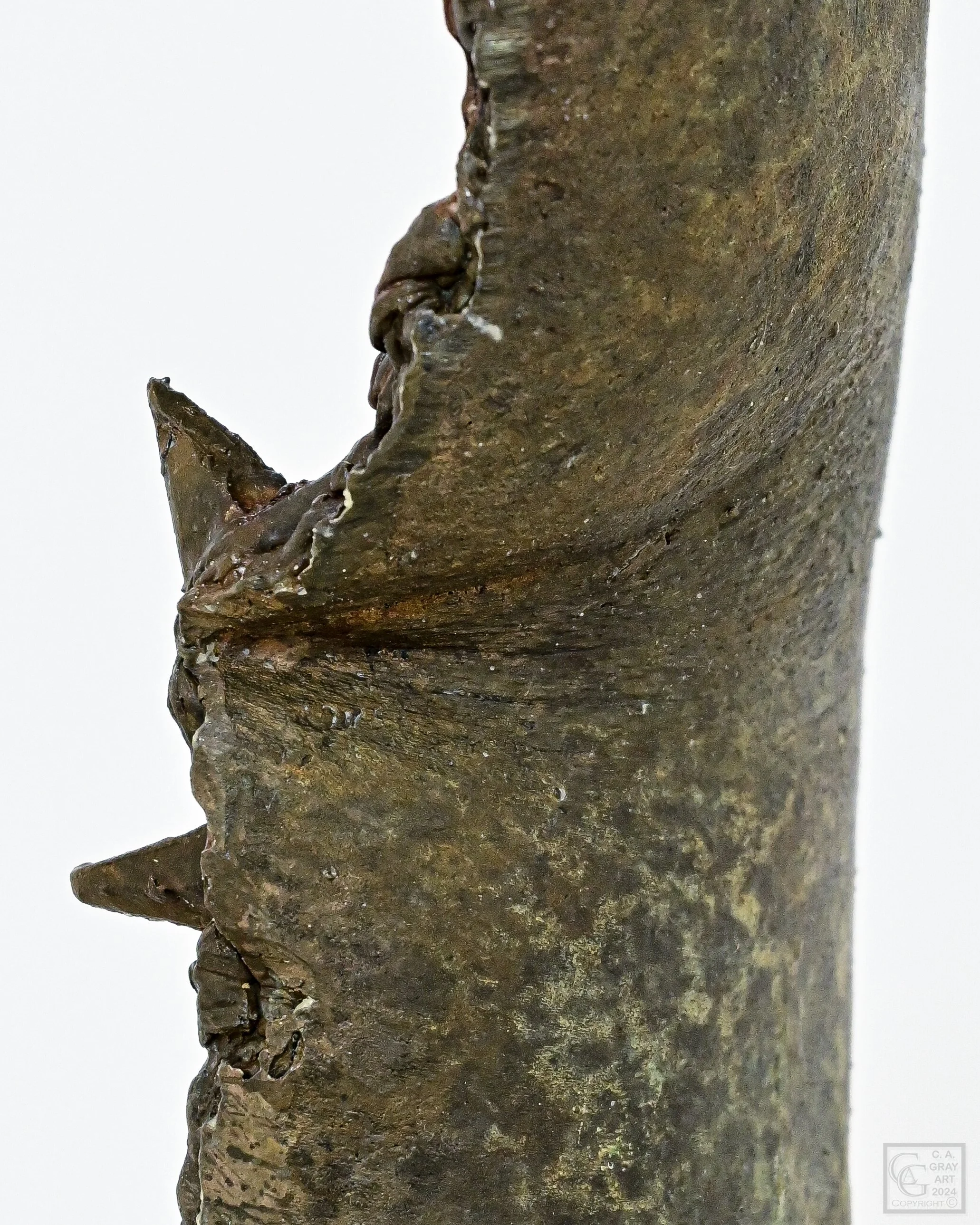 DSC_3508.jpg