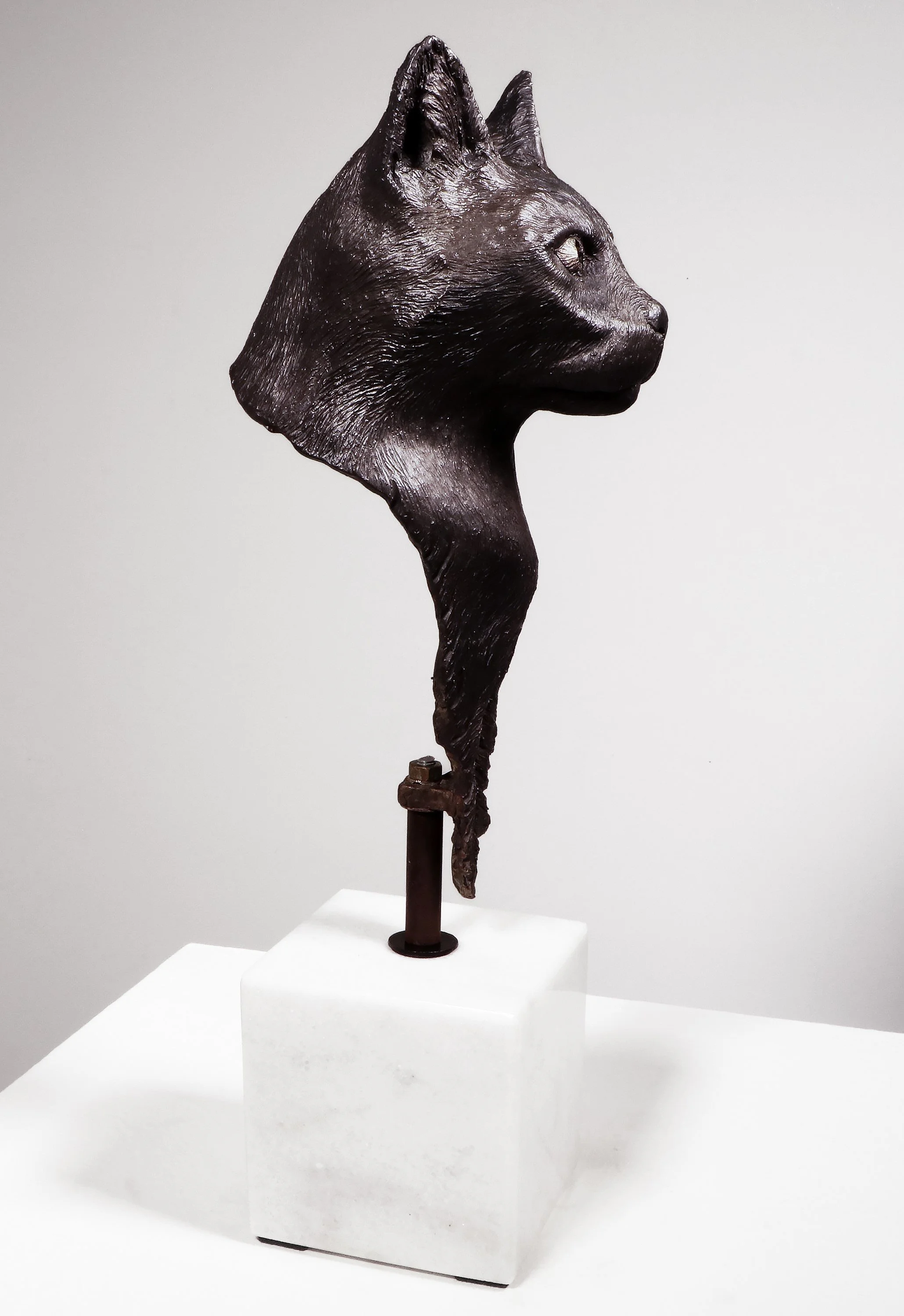 Gray_Animal Spirit No.1_2023_LPV1.jpg