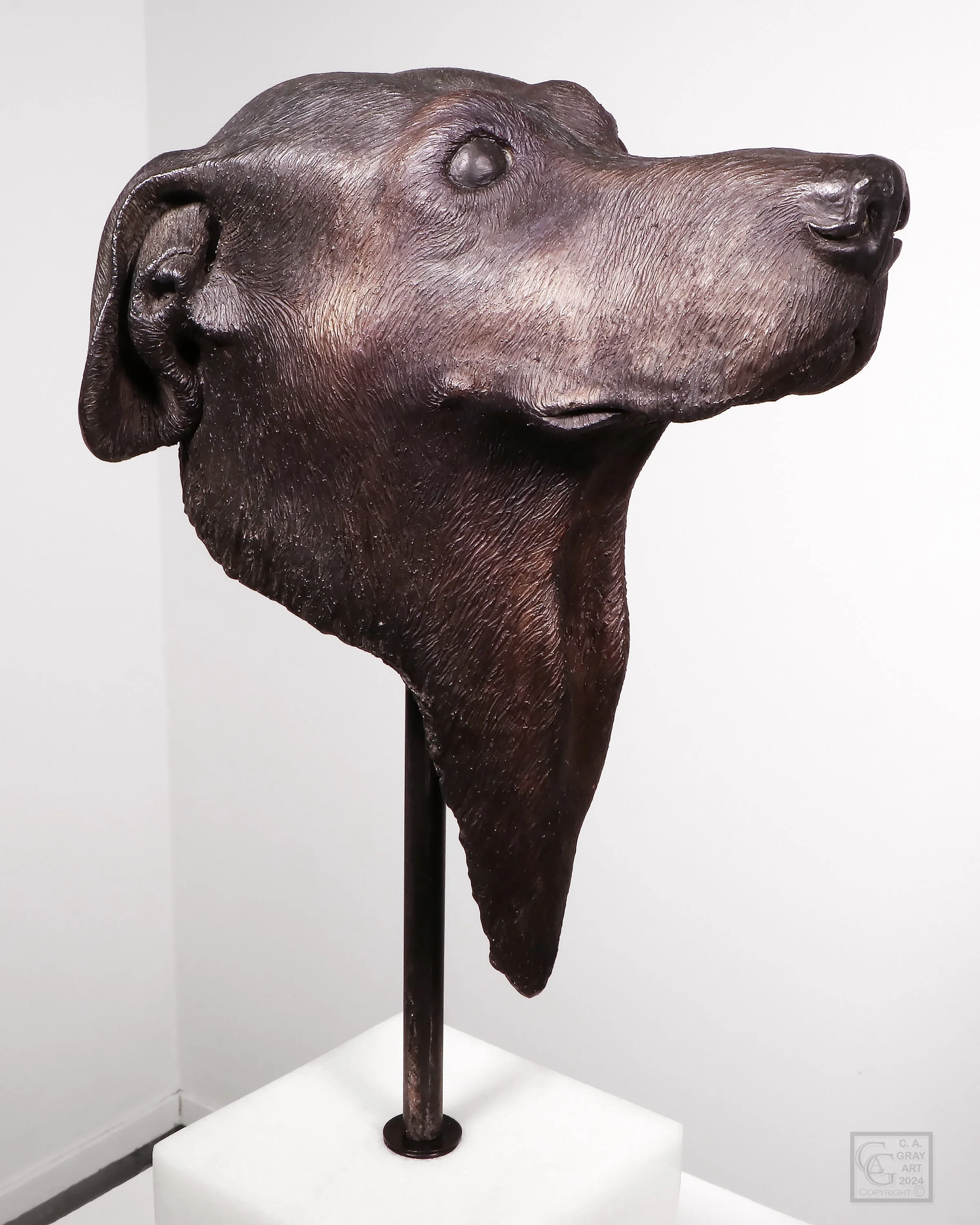 Gray_Animal Spirit No.2_2023_LSV.jpg