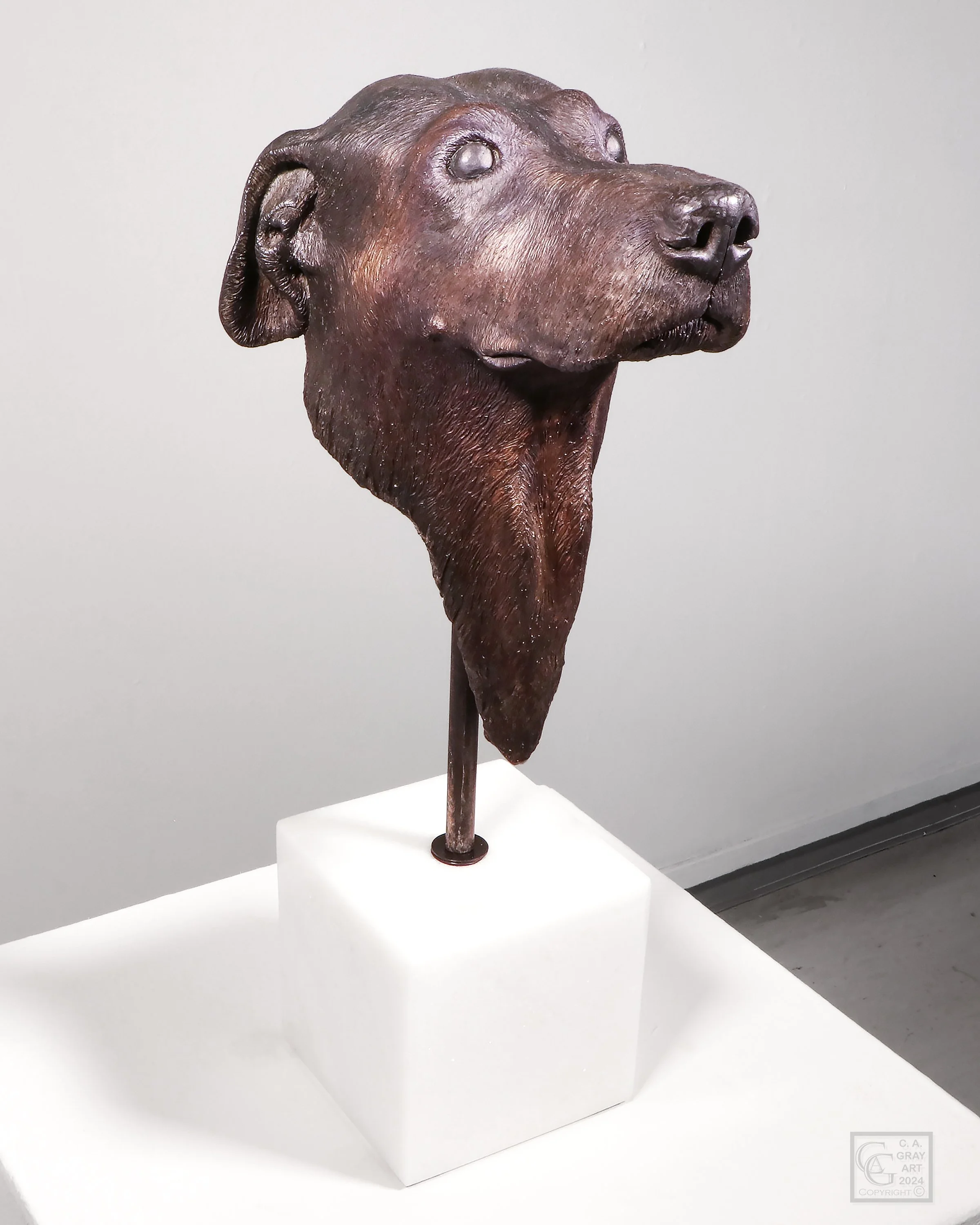 Gray_Animal Spirit No.2_2023.jpg