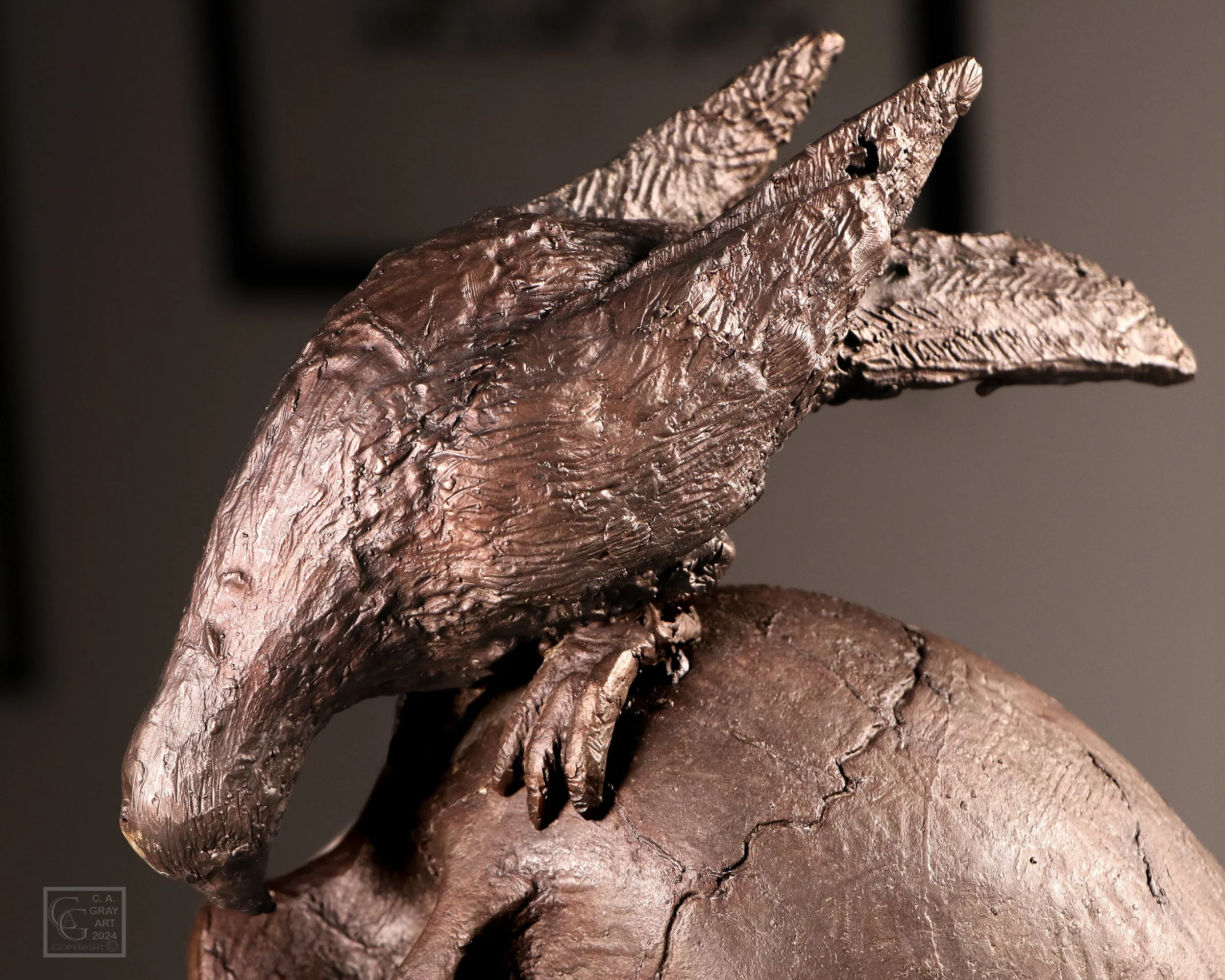 Gray_Thereafter..._2023_Det S.jpg