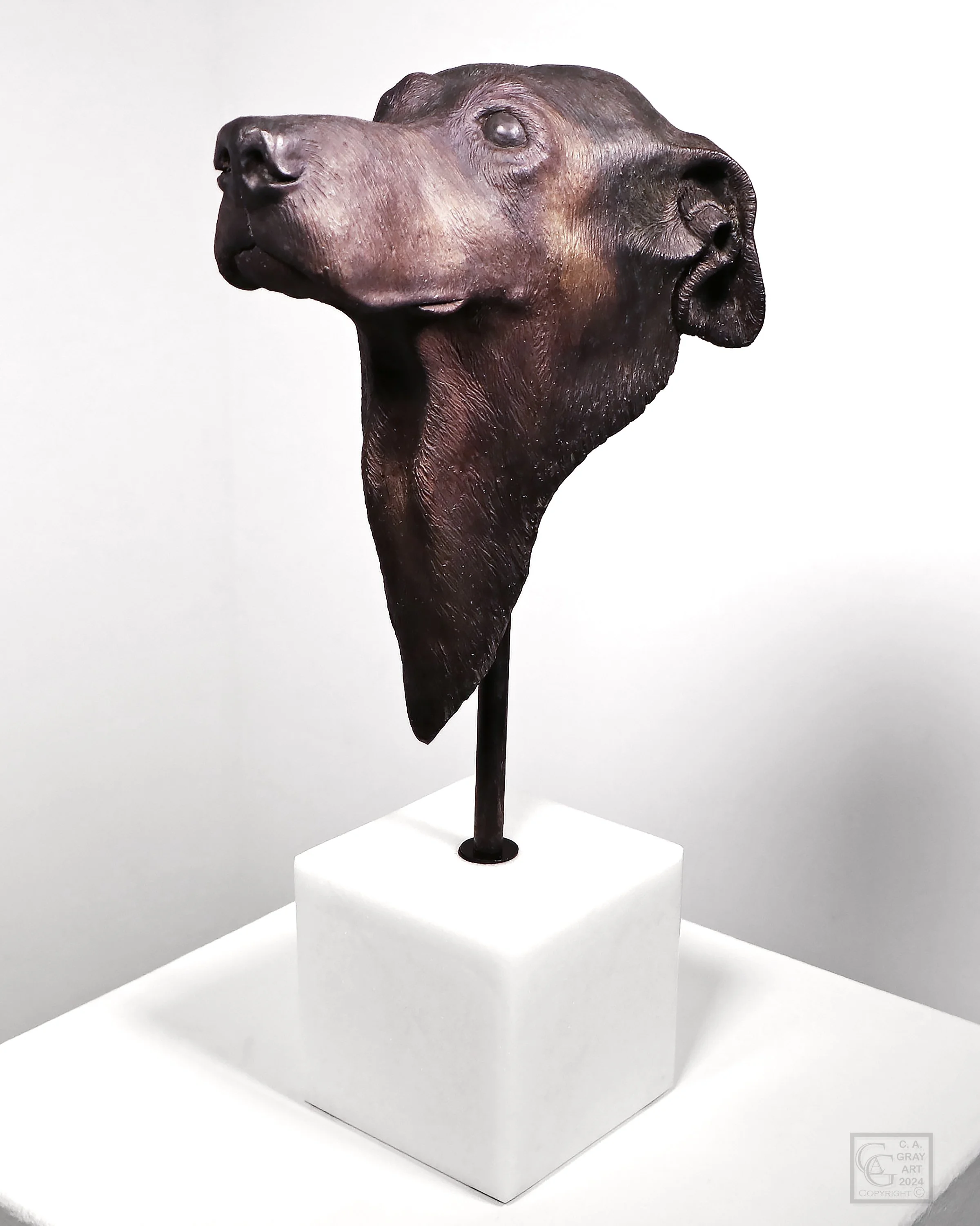 Gray_Animal Spirit No.2_2023_RSPV.jpg