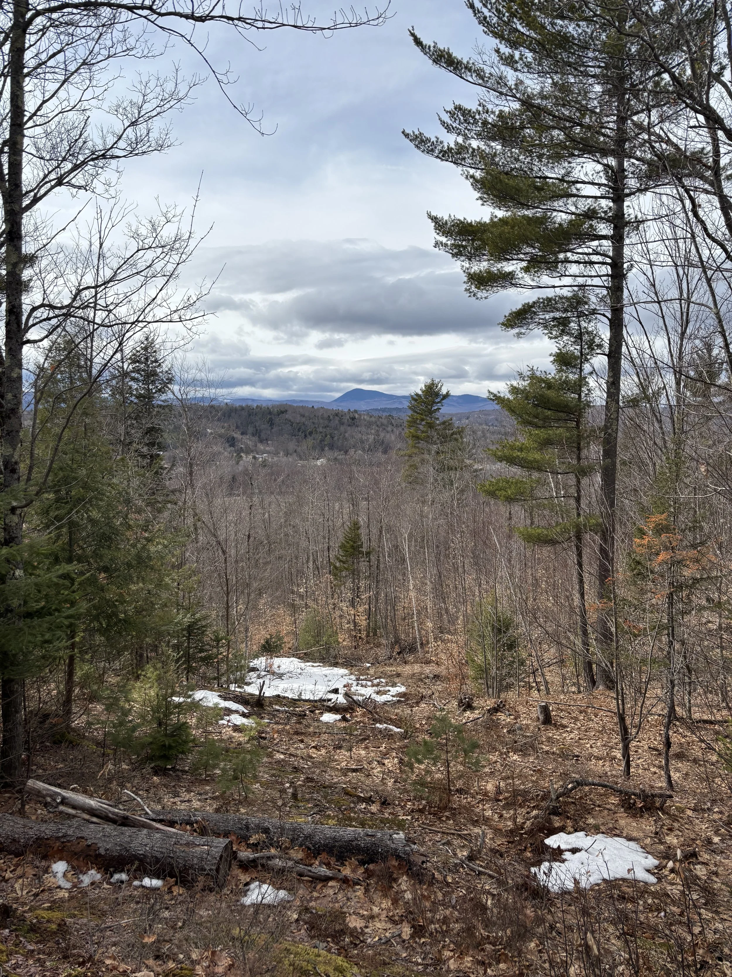 The view of Mt. Blue from Flint Woods on April 4, 2026 (Caden Sterry). 