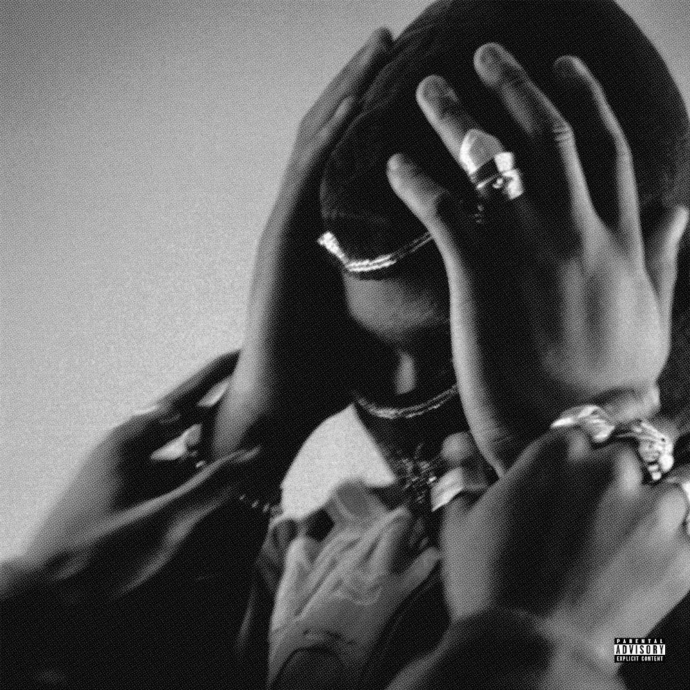 PRINCE OF FALLS - THINGS I NEVER GOT TO SAY
